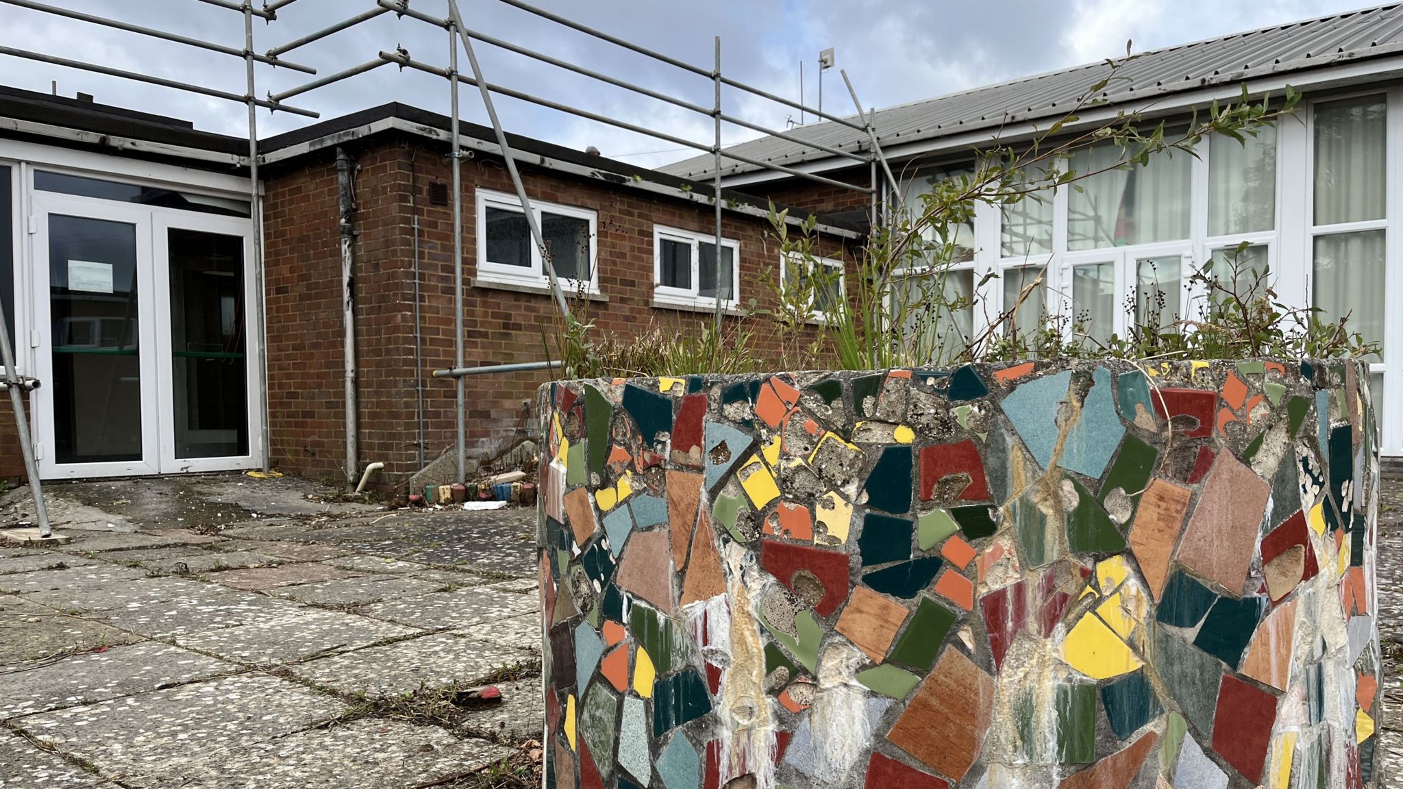 Courtyard at the Lyndhurst Centre with a mosaic overgrown plant bed with the building surrounded by scaffolding in the background