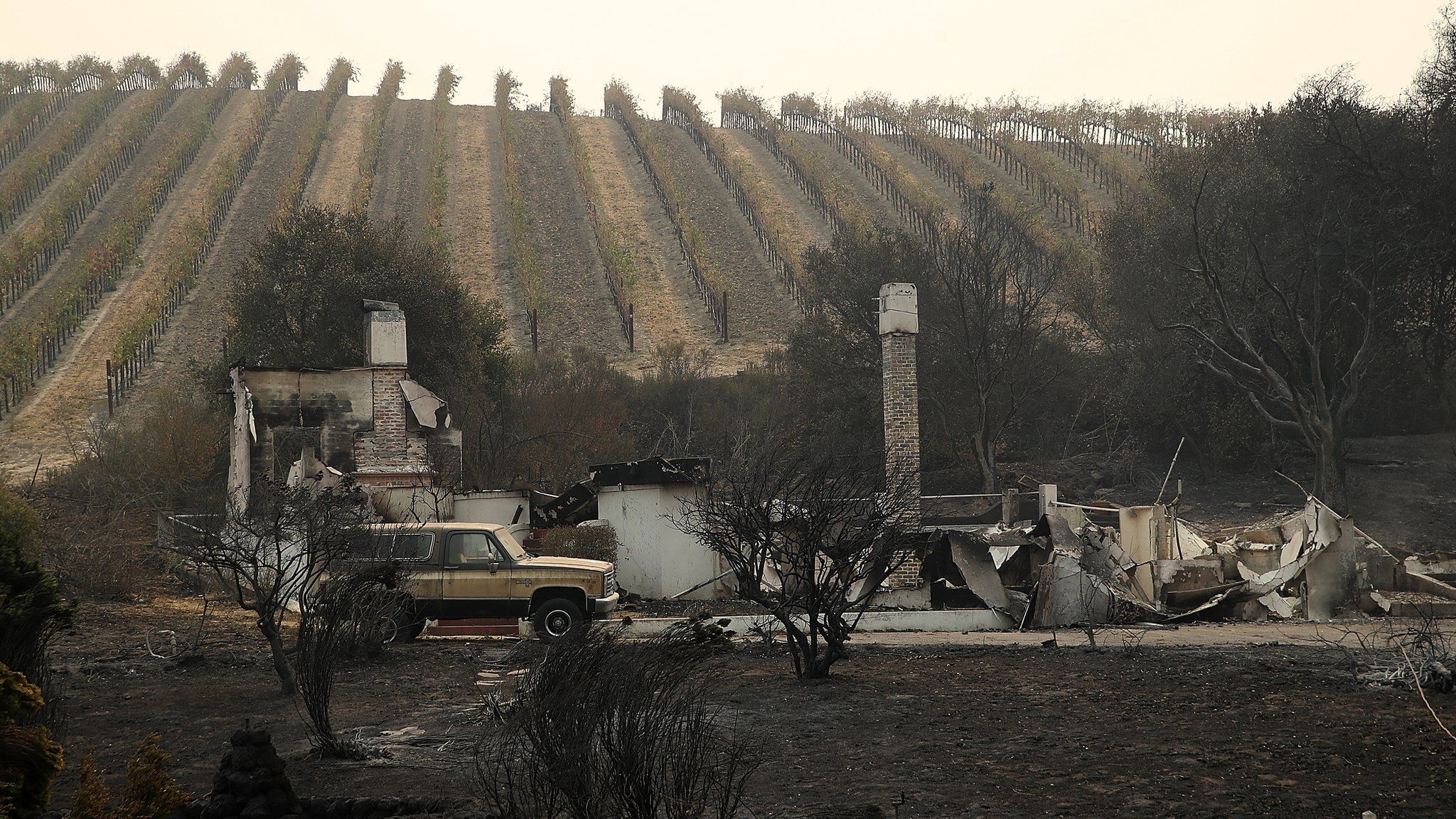 A burned out home sits next a vineyard after an out of control wildfire moved through the area on October 9, 2017 in Sonoma, California. Tens of thousands of acres and dozens of homes and businesses have burned in widespread wildfires that are burning in Napa and Sonoma counties.