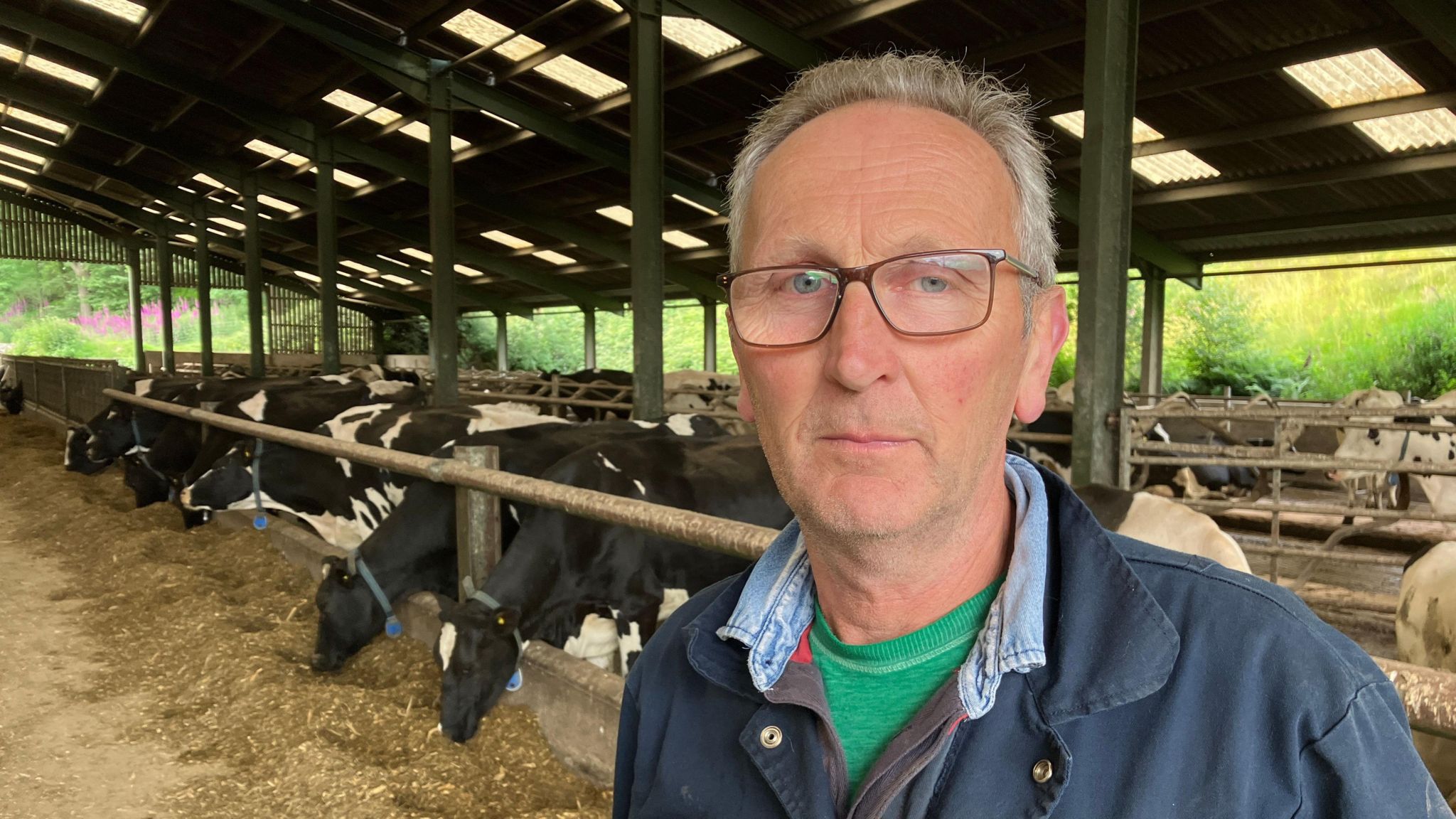 Peter Lewis standing in front of holstein dairy cows in a barn feeding