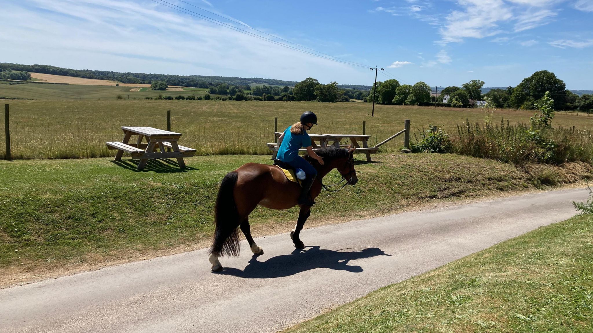 THURSDAY - A woman riding a brown horse on a country lane. The horse is brown and the woan, wearing a blue tshirt and a helmet is stroking its neck. The road is single-track and has grass banks on each side. There are two picnic benches on the bank to the left of the road. Behind there is a field of grass and rolling countryside under a blue sky.
