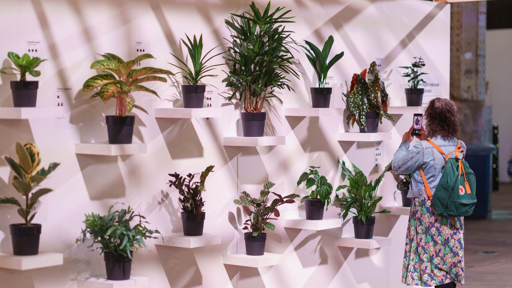 Woman takes photo of houseplants at RHS Urban Show in Manchester