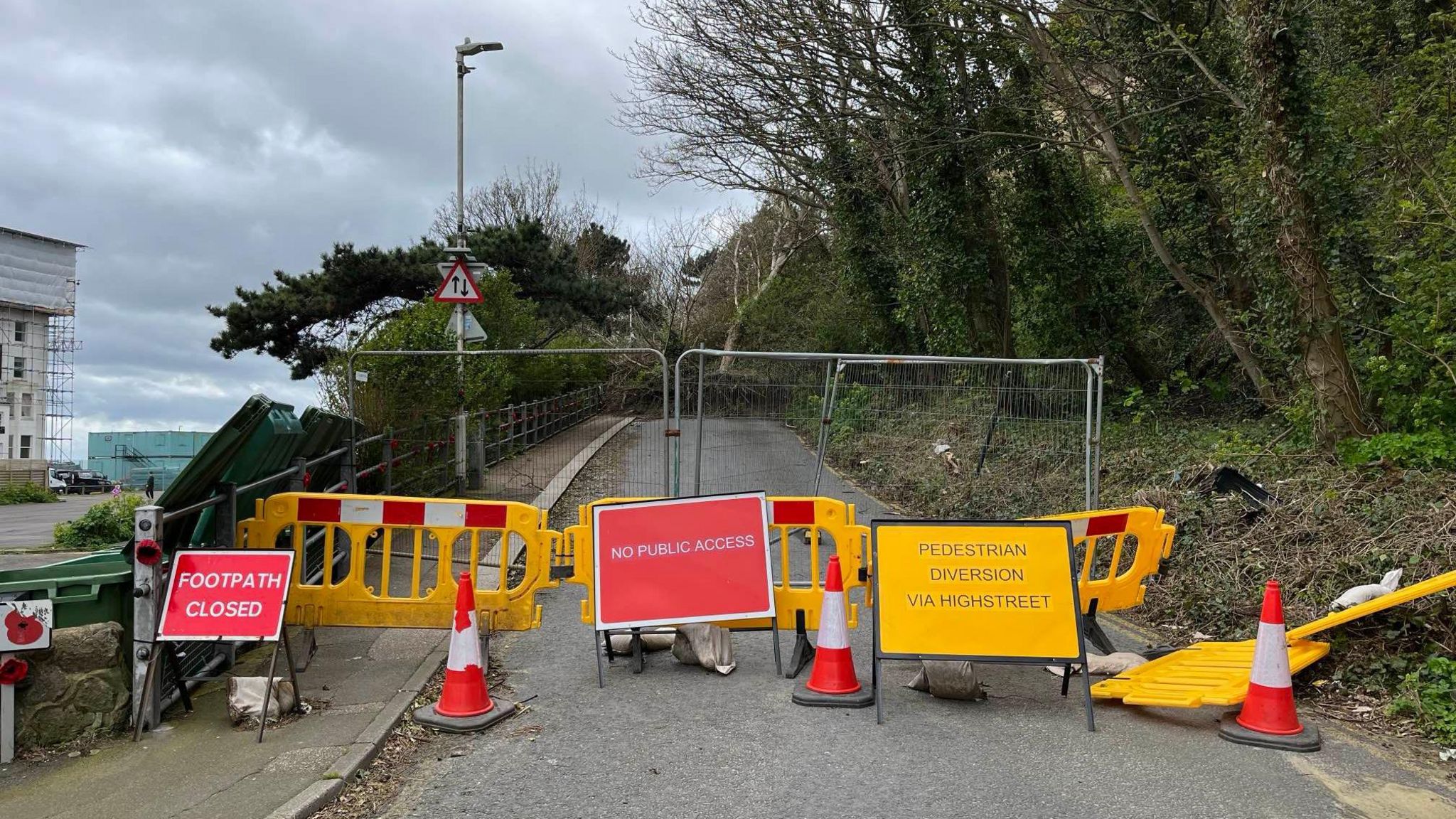 Trees blocking the Road of Remembrance in Folkestone