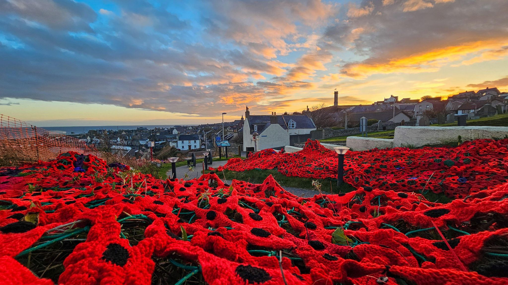The poppy display during sunset