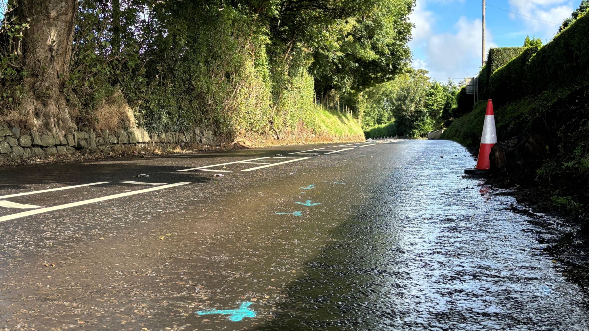 The Cushendall Road. There are blue crosses that have been spray-painted on the road and a cone. Part of the road is wet. There are trees on one side of the road and hedges on the other side.