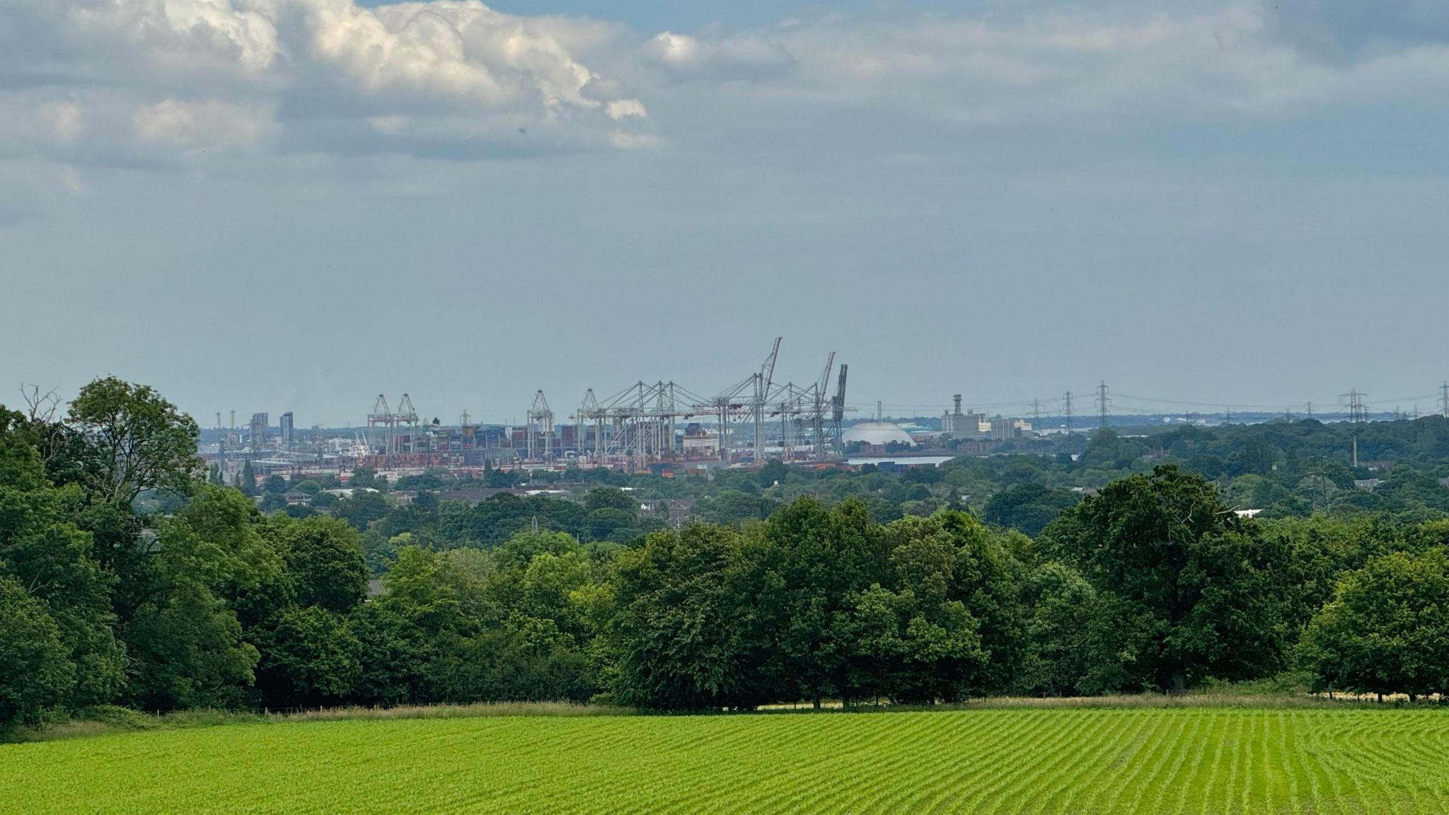 SUNDAY - A green field with the industrial cranes at Southampton port on the horizon