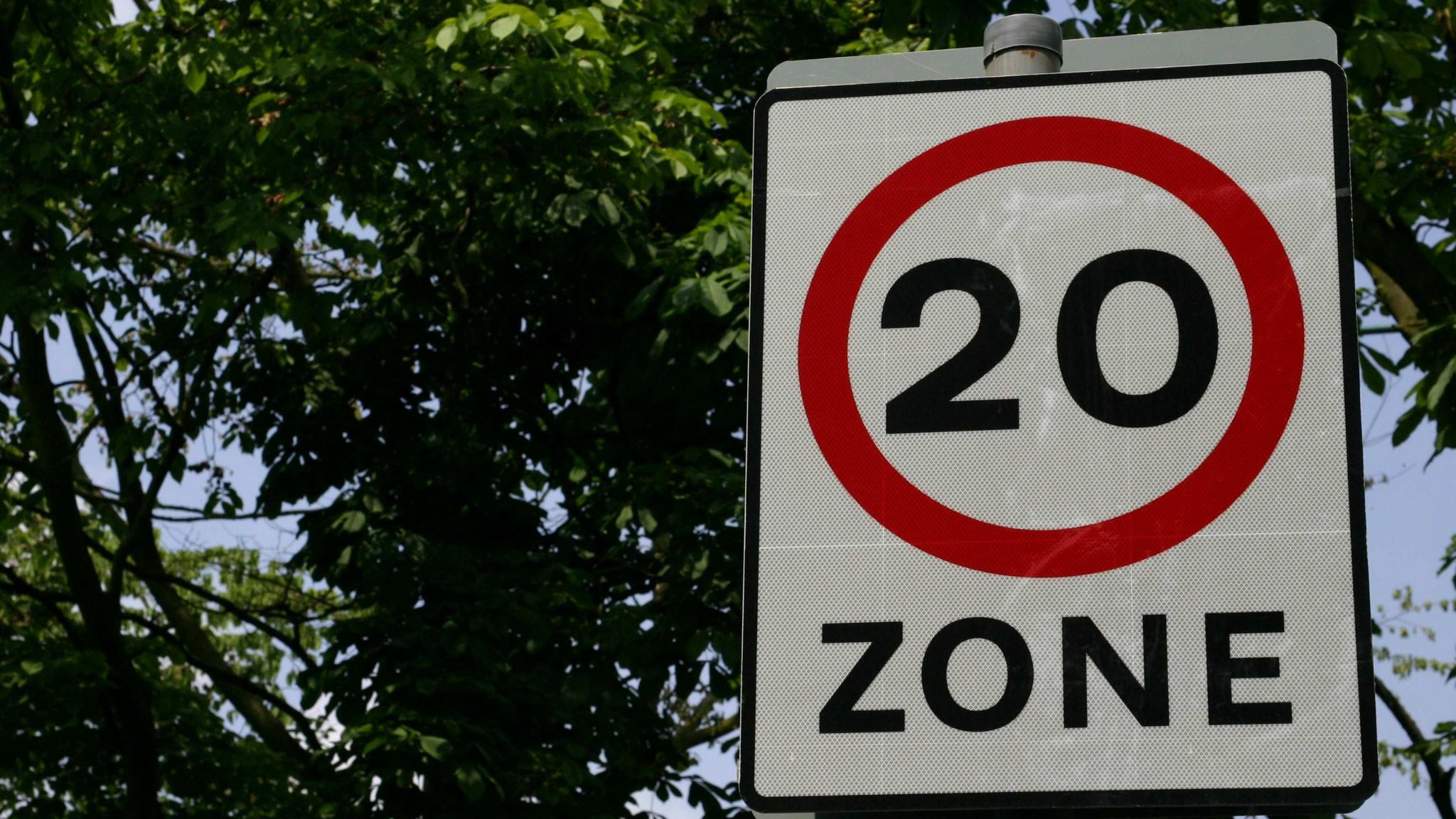 20 mile per hour speed sign with greenery from trees in the background.