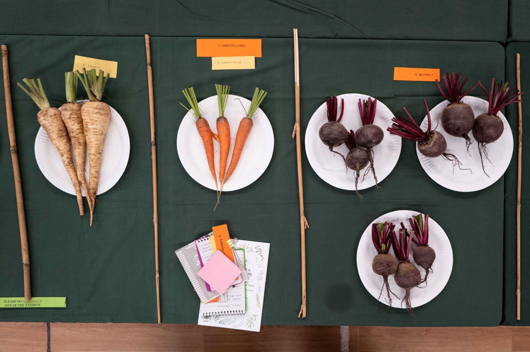 Vegetables neatly laid on plates