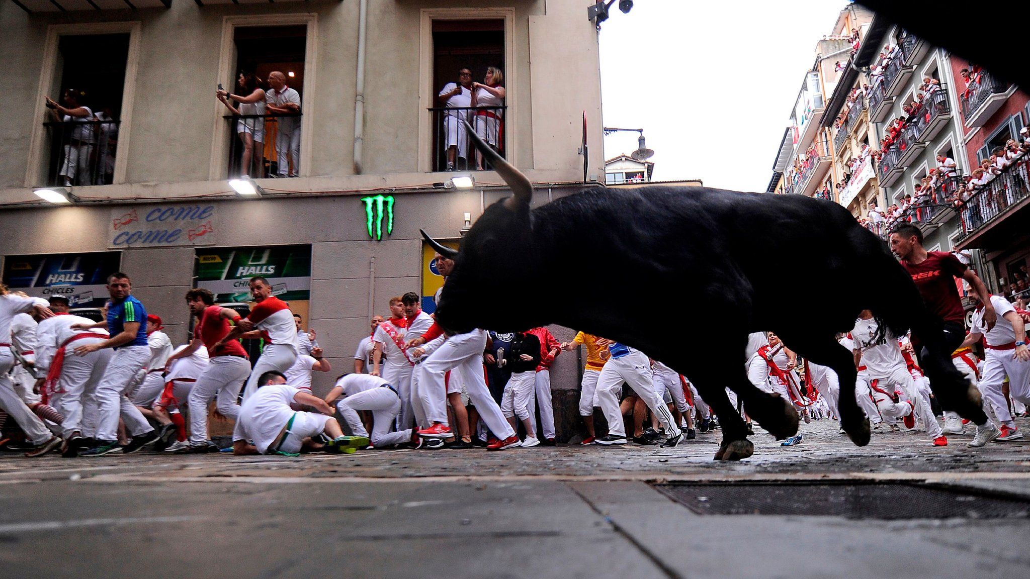 A bull and runners at Pamplona 2018
