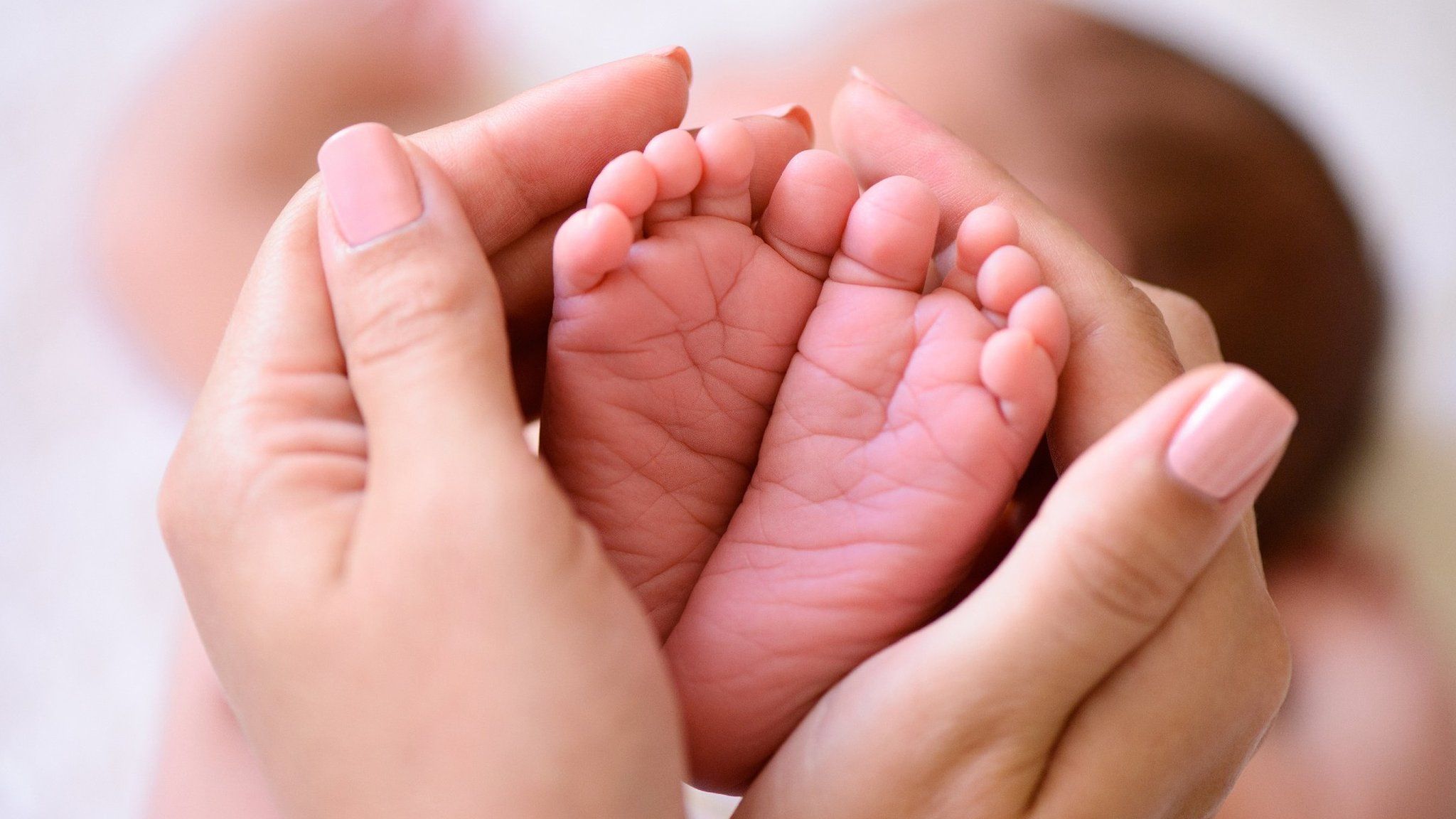 Baby's feet being held in adult hands