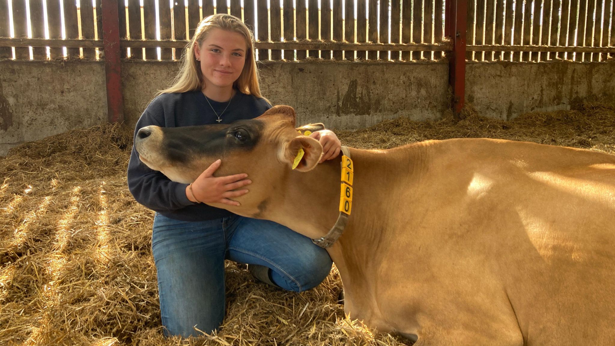 Erin Gailey in a barn holding a cow's head. She has long, light hair past her shoulders and wears a blue top with a gold necklace and blue jeans as she kneels on straw in an enclosed building. The cow has brown fur apart from darker fur on its nose and a plastic necklace with numbers on it around its neck and a yellow tag in its ear