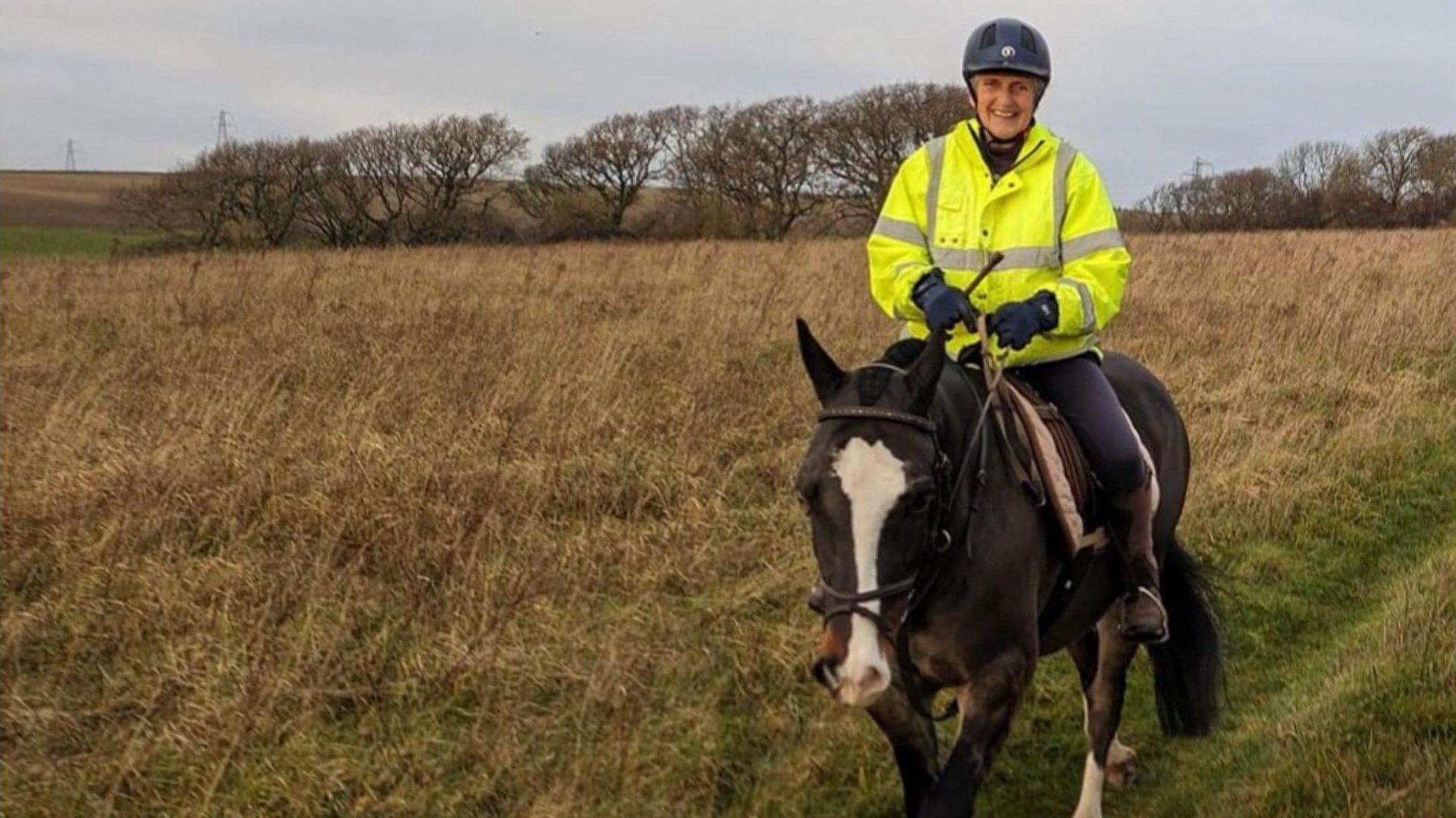 Veteran rider from Blackboys writes her horse into will - BBC News