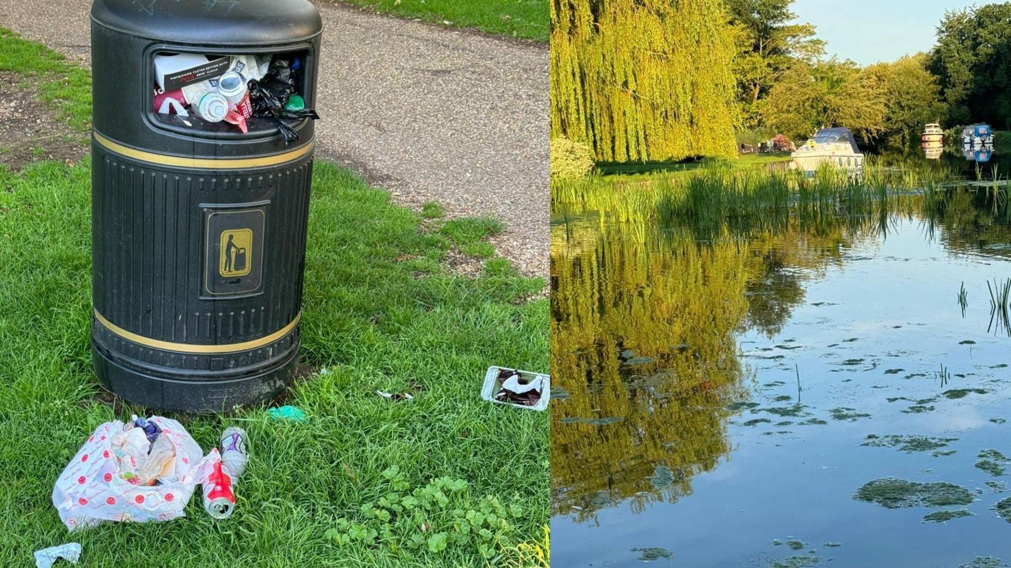 A bin full of litter