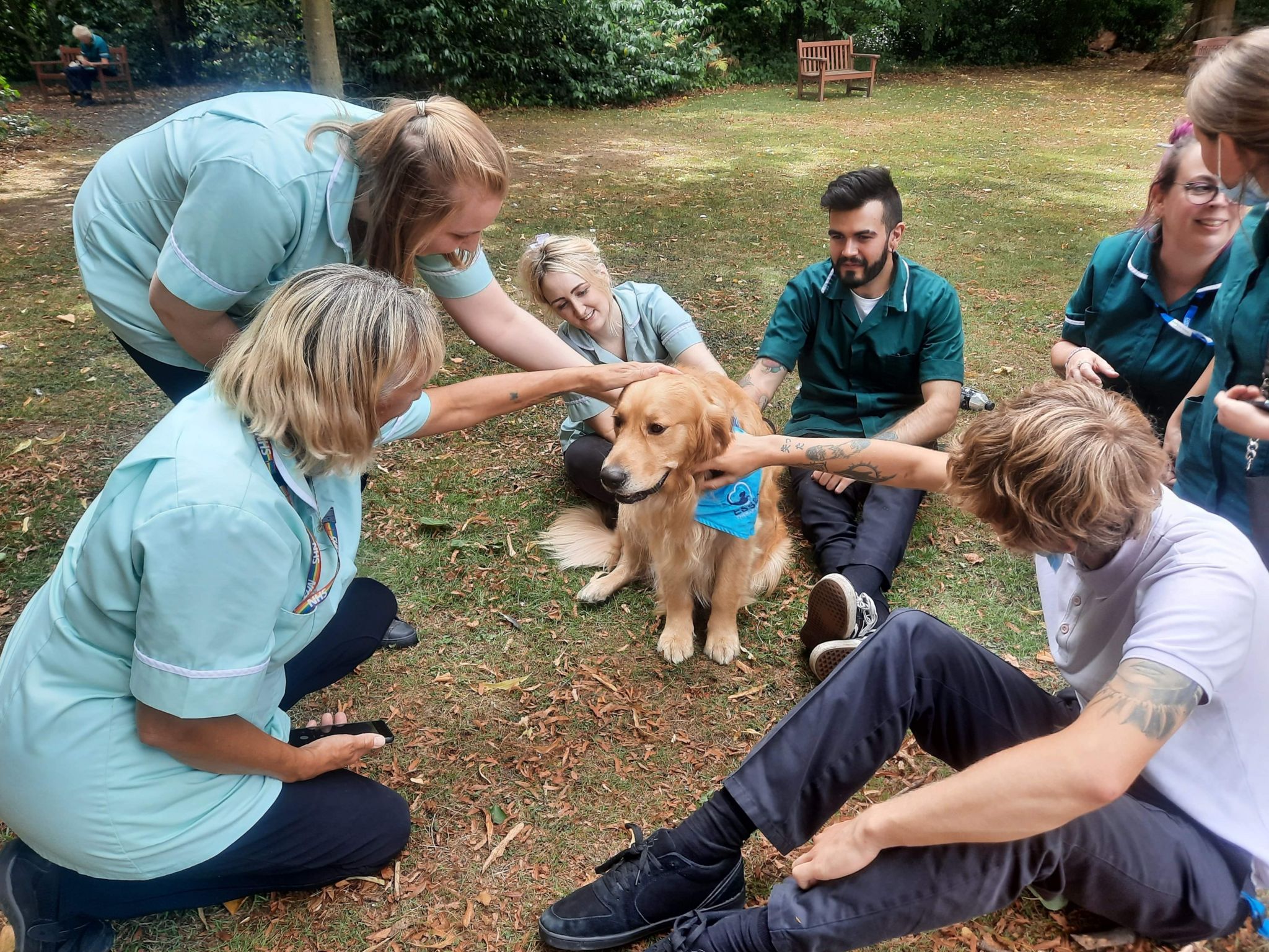 Essex Therapy Dogs at Broomfield Hospital in Chelmsford