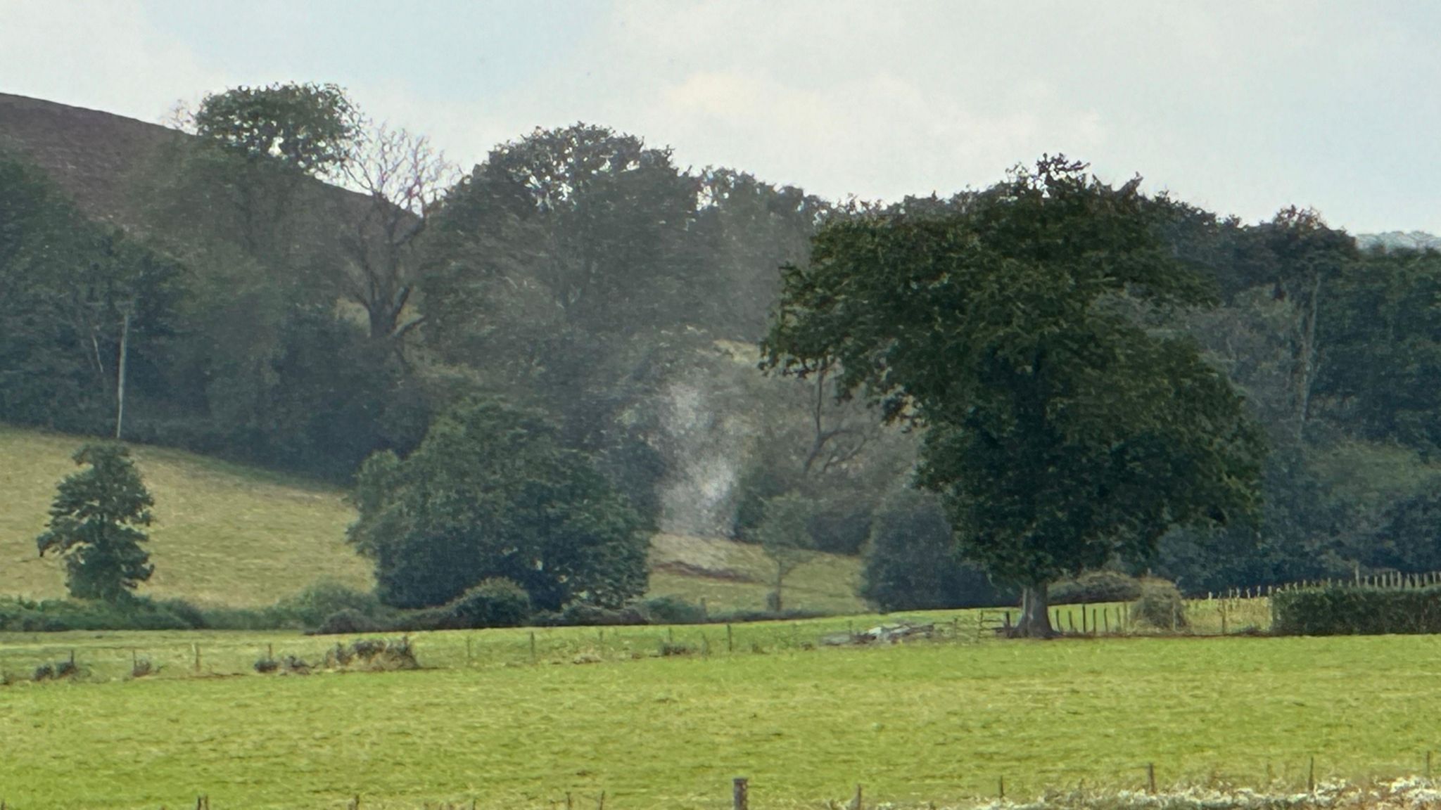 A cloud of gas rises from the ground in an open field