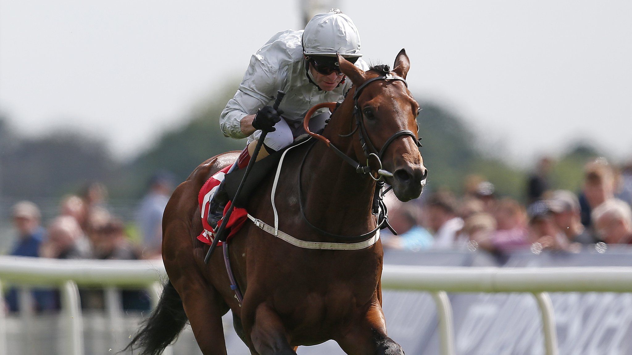 Permian wins the Dante Stakes at York