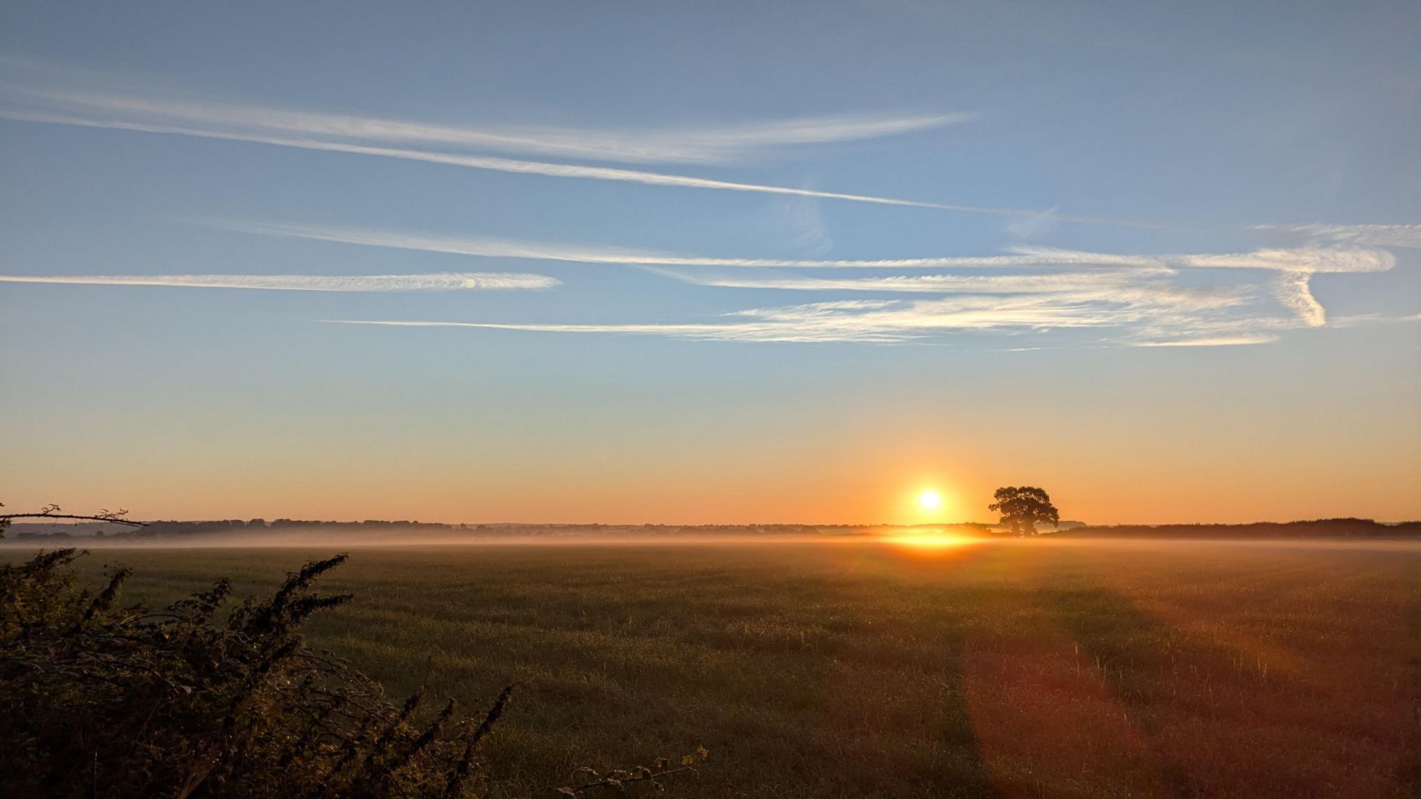 A large field containing a lone tree in the distance under a low orange sun and a blue sky