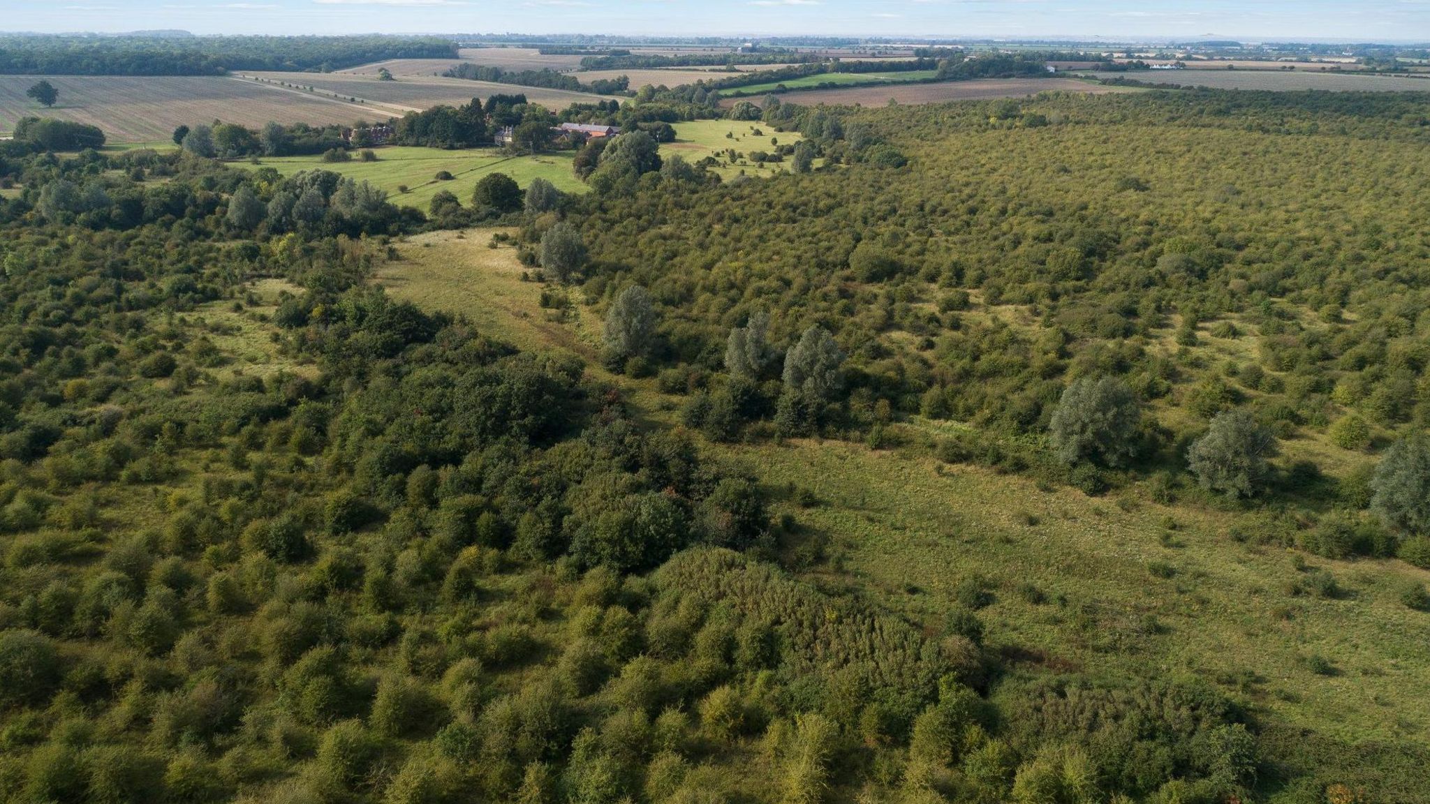 Ariel view of Strawberry Hill nature reserve