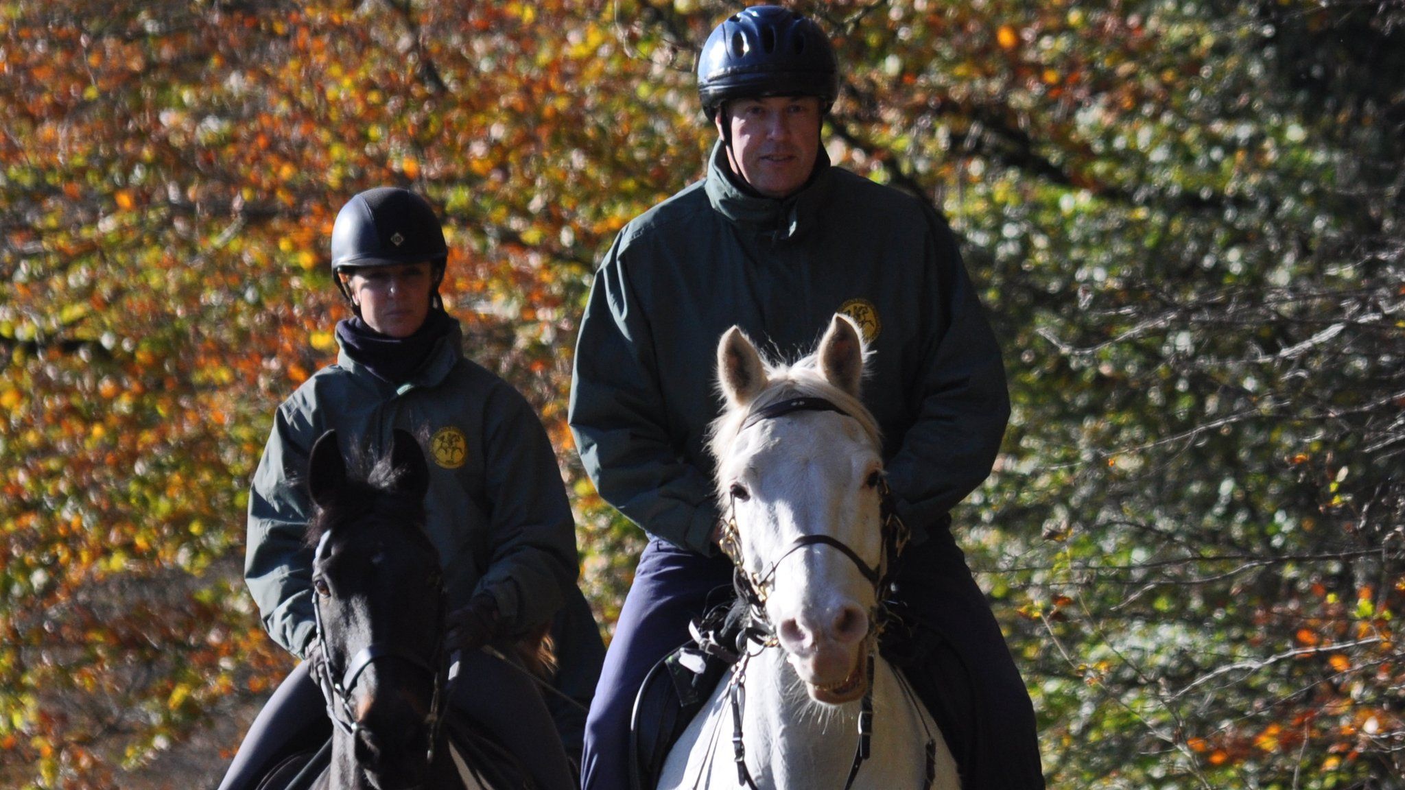 Endurance racing amid the autumn colours