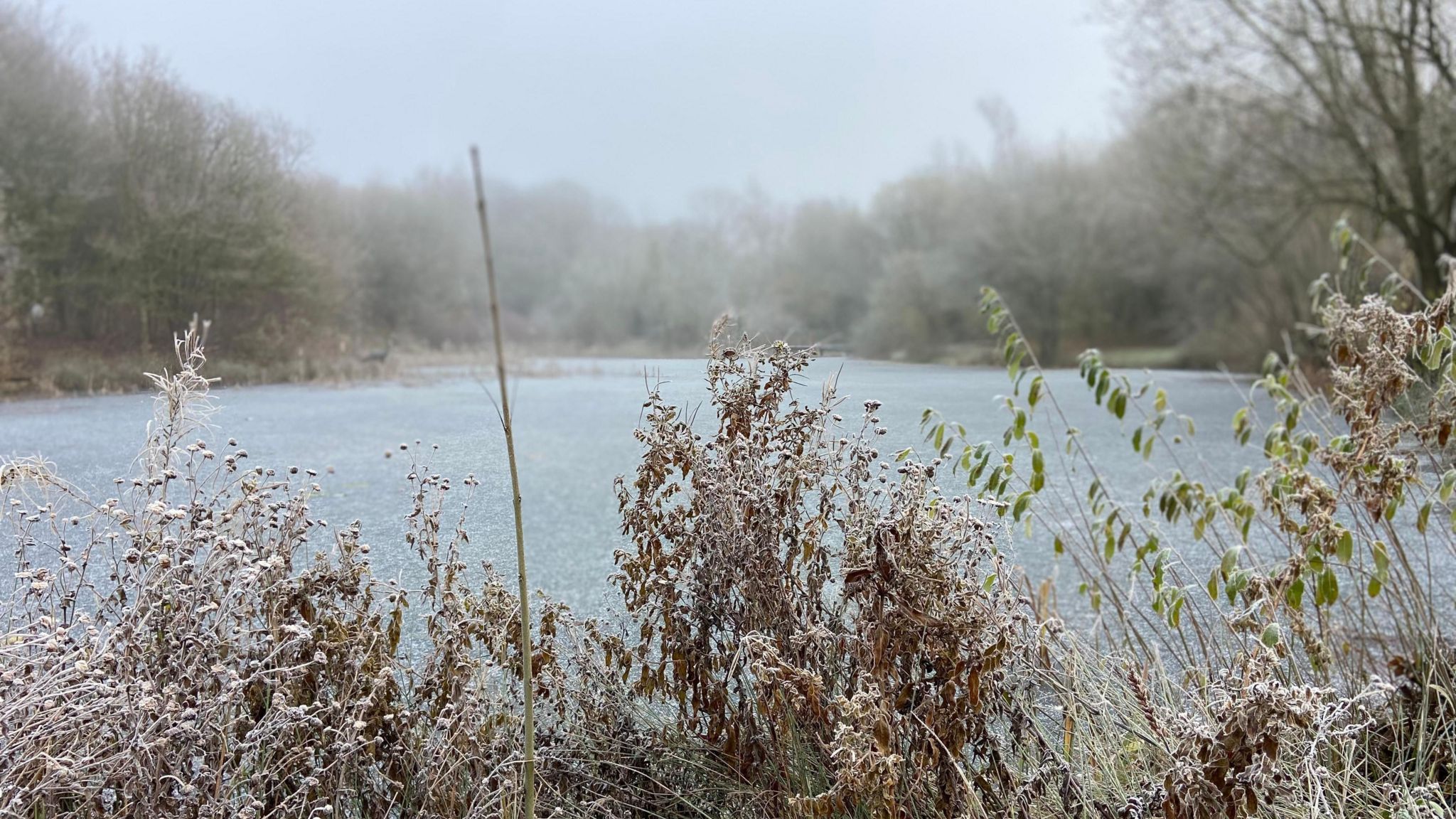 An icy pond