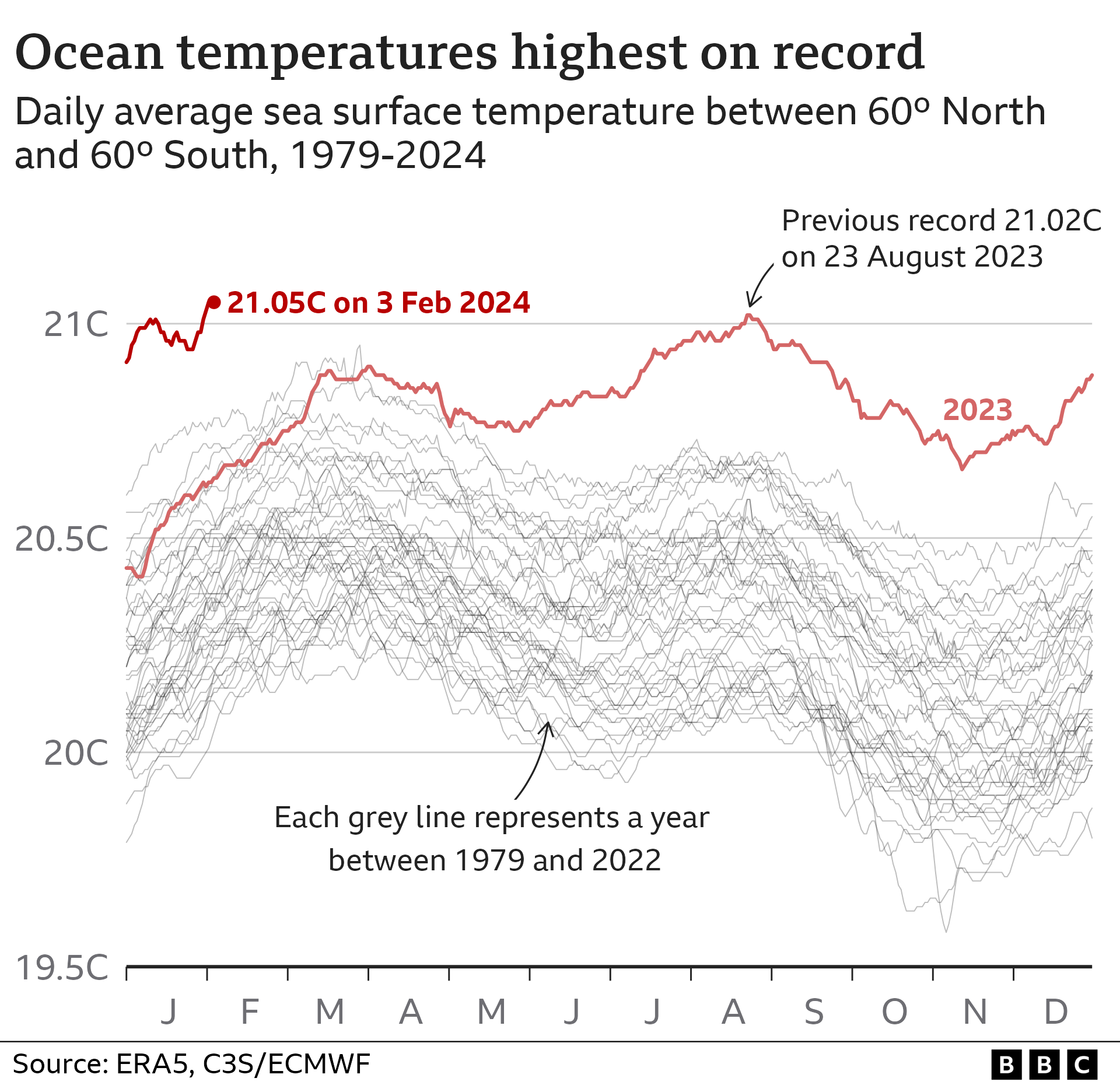 Multiple line graph with average sea surface temperatures on every day of the year, from 1979 to 2024. Through the second half of 2023, temperatures were far above anything previously recorded, and this has continued into 2024. The new record was set on 3 February 2024 at 21.05C