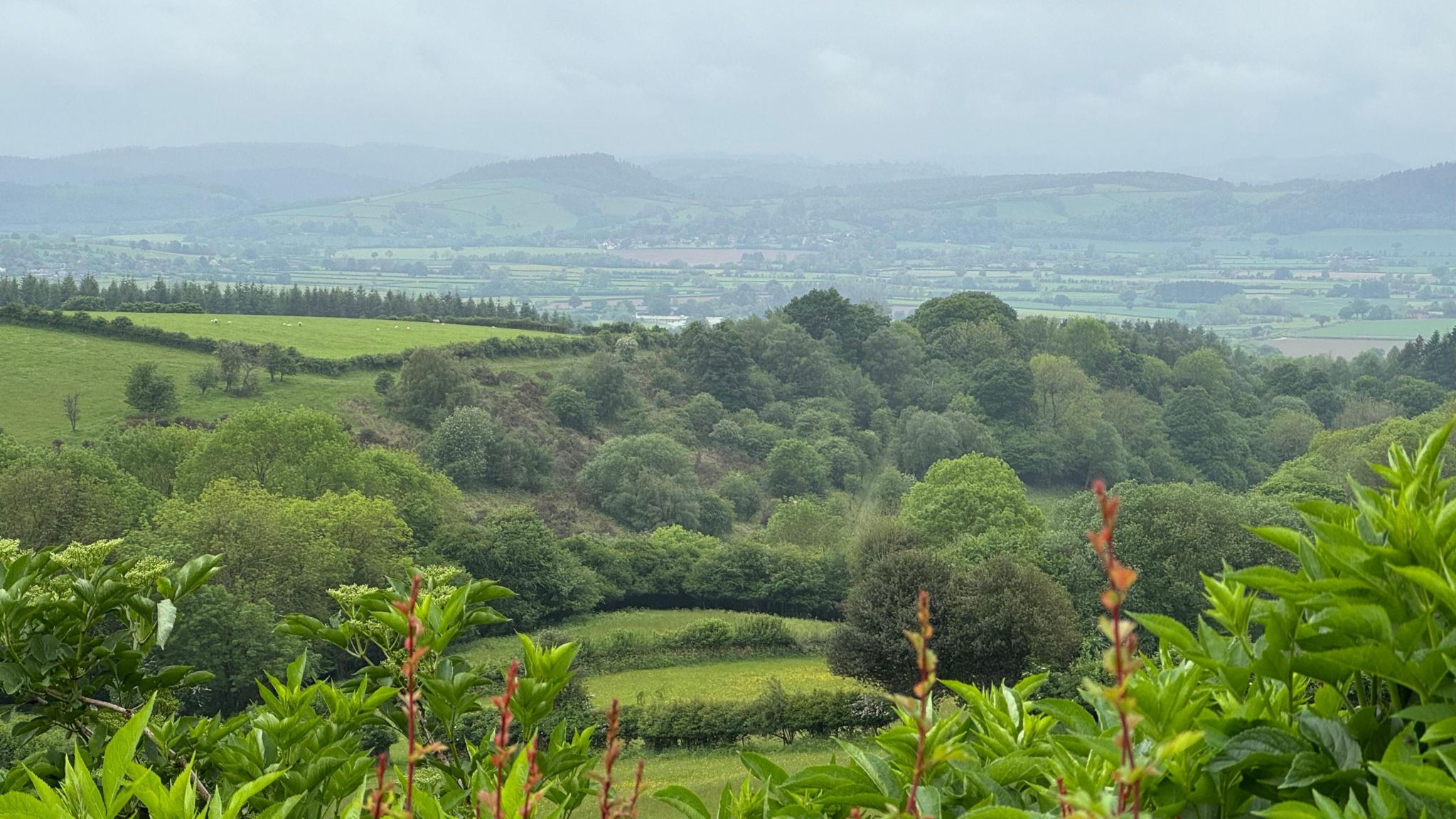 Burrington Herefordshire