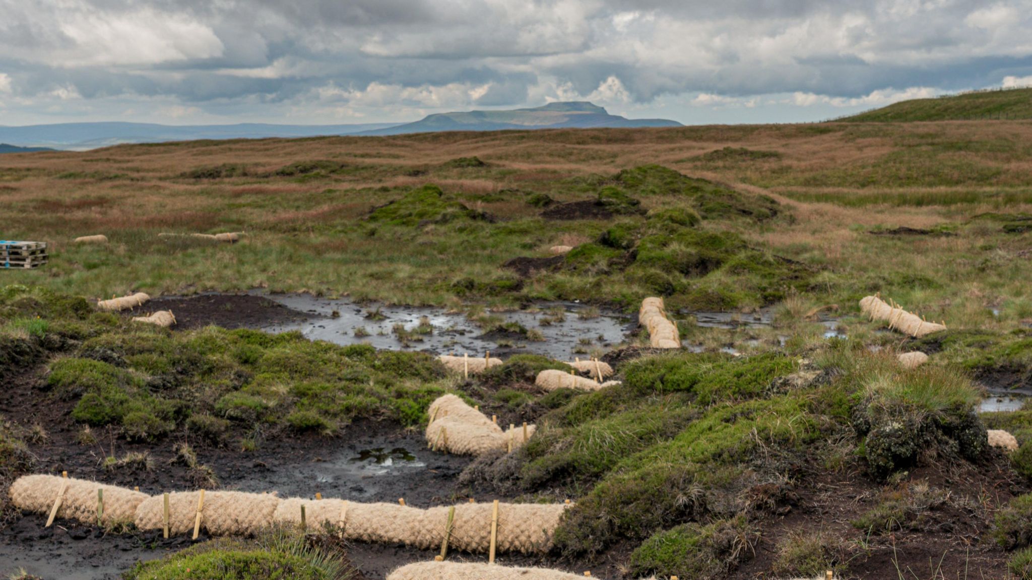 peat restoration work in the Yorkshire Dales