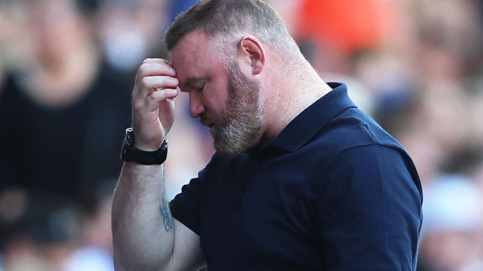 Wayne Rooney looks unhappy during Plymouth Argyle's loss at Sheffield Wednesday