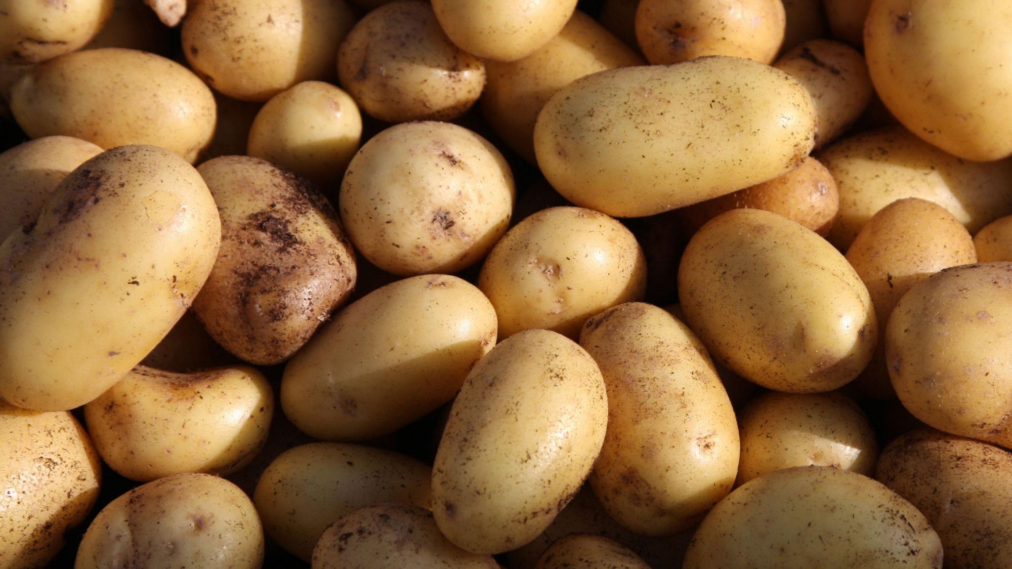 Potatoes