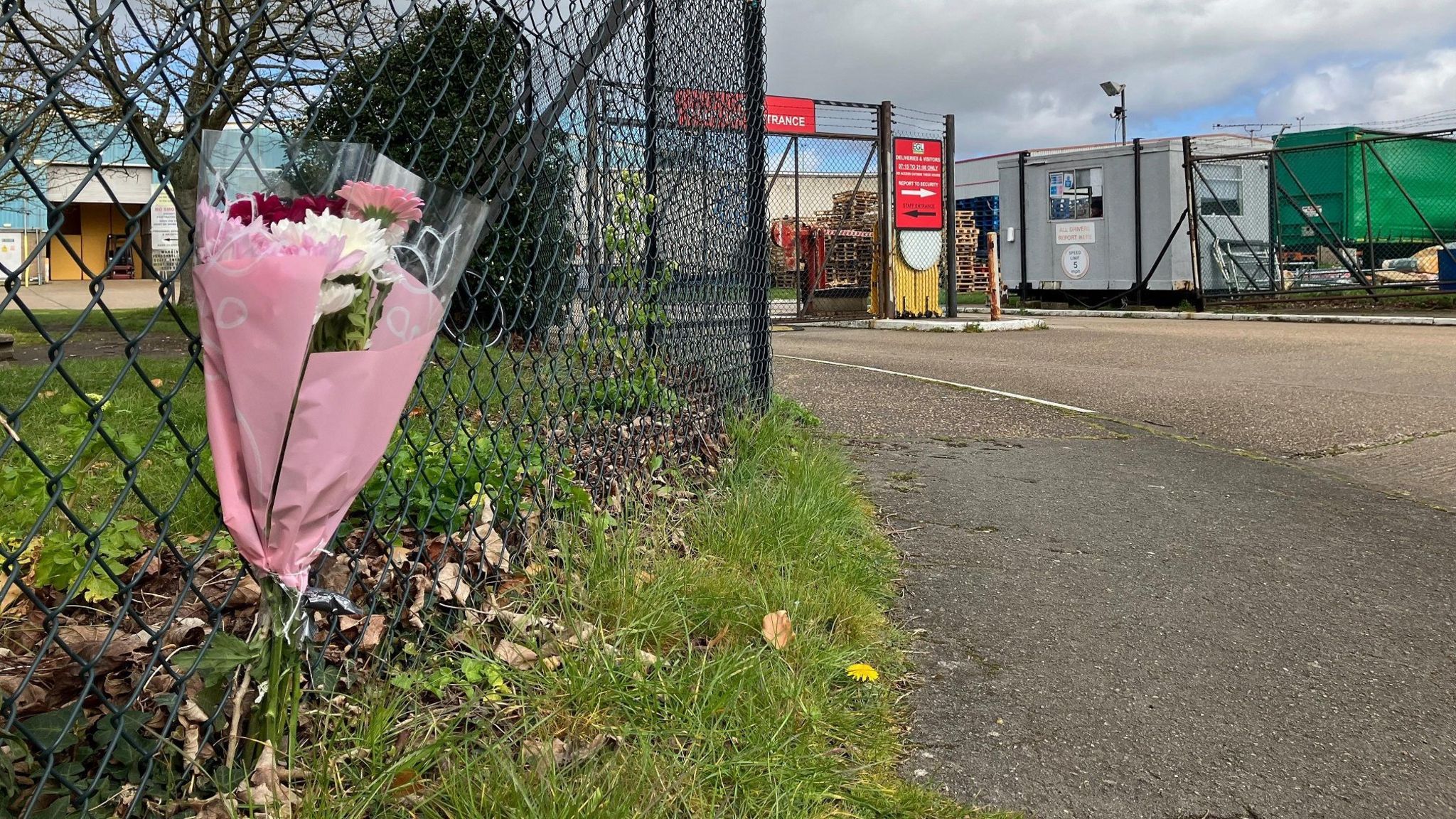 Flowers next to a fence. In the background is a large industrial unit