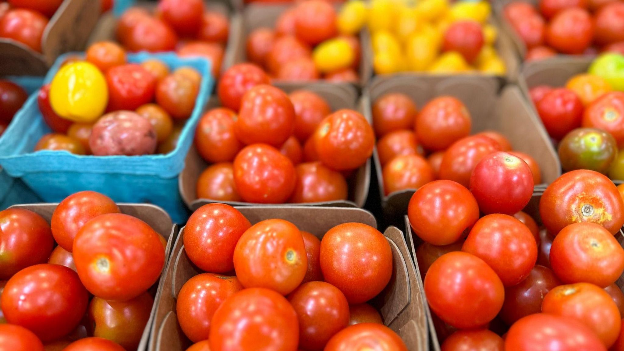 Close-up of tomatoes in a food shop