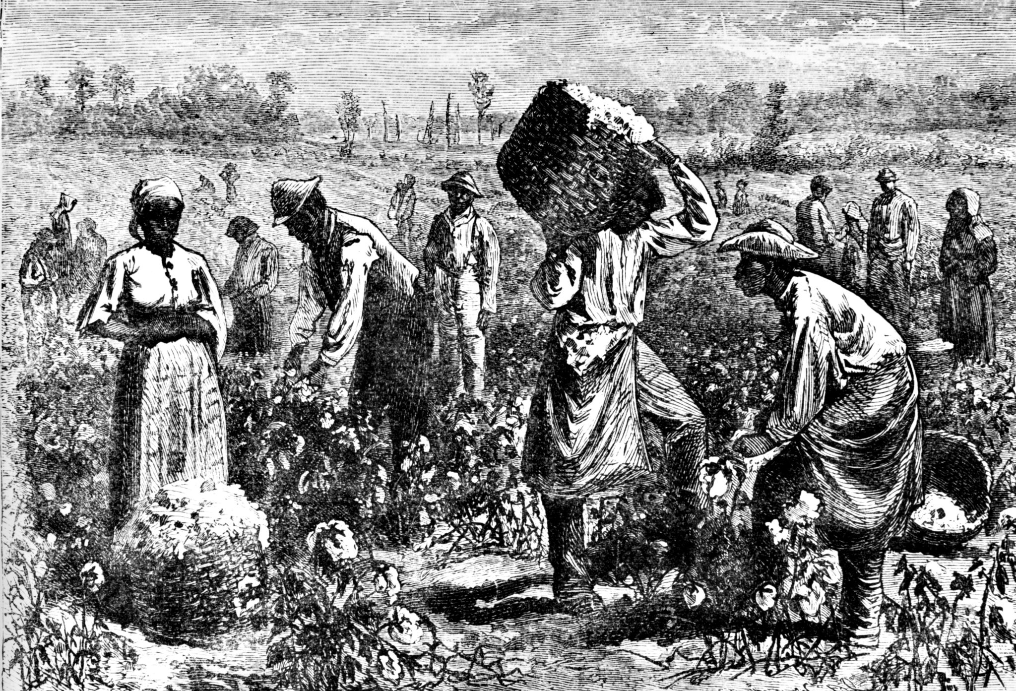 Slaves working on a plantation