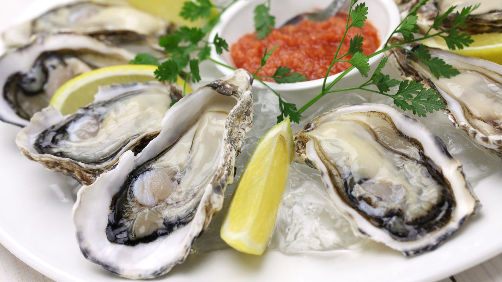A dish of oysters