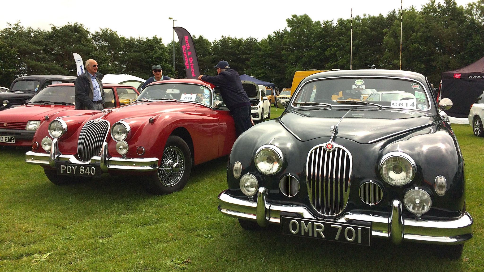 Image of vintage Jaguars at the Rotary Festival of Motoring