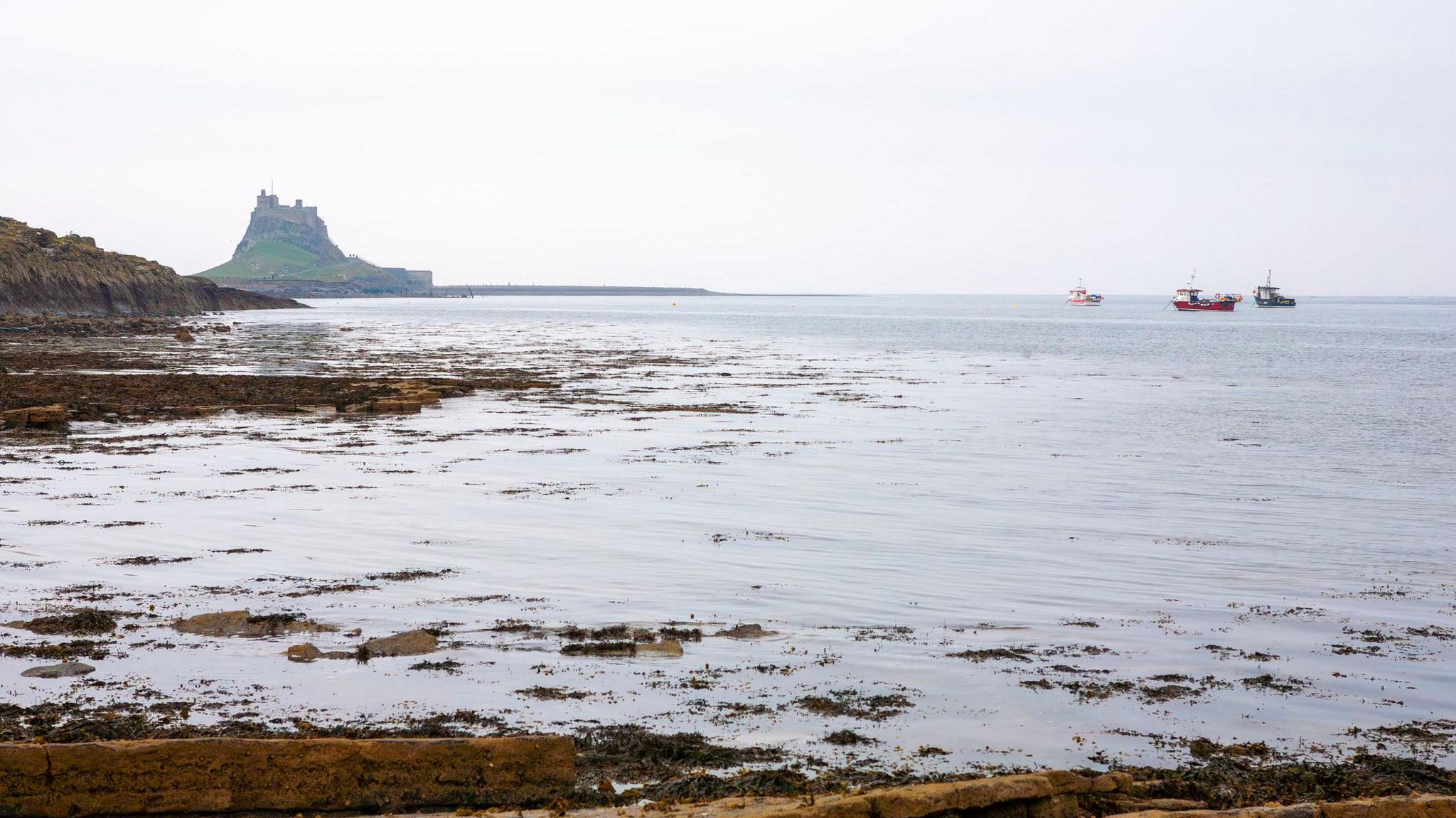 The castle and harbour from the Common, Lindisfarne