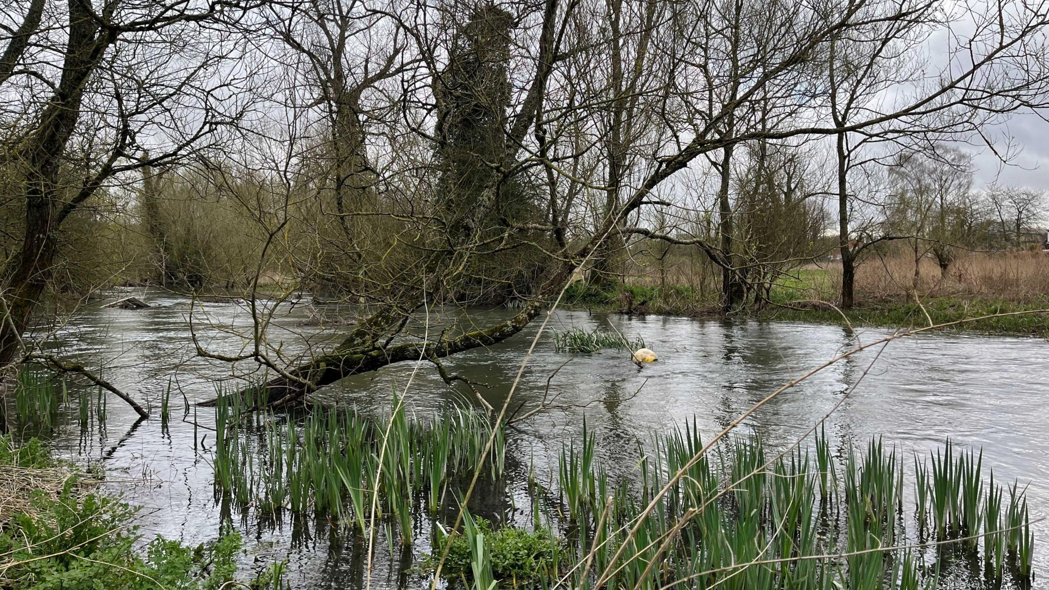 River Kennet