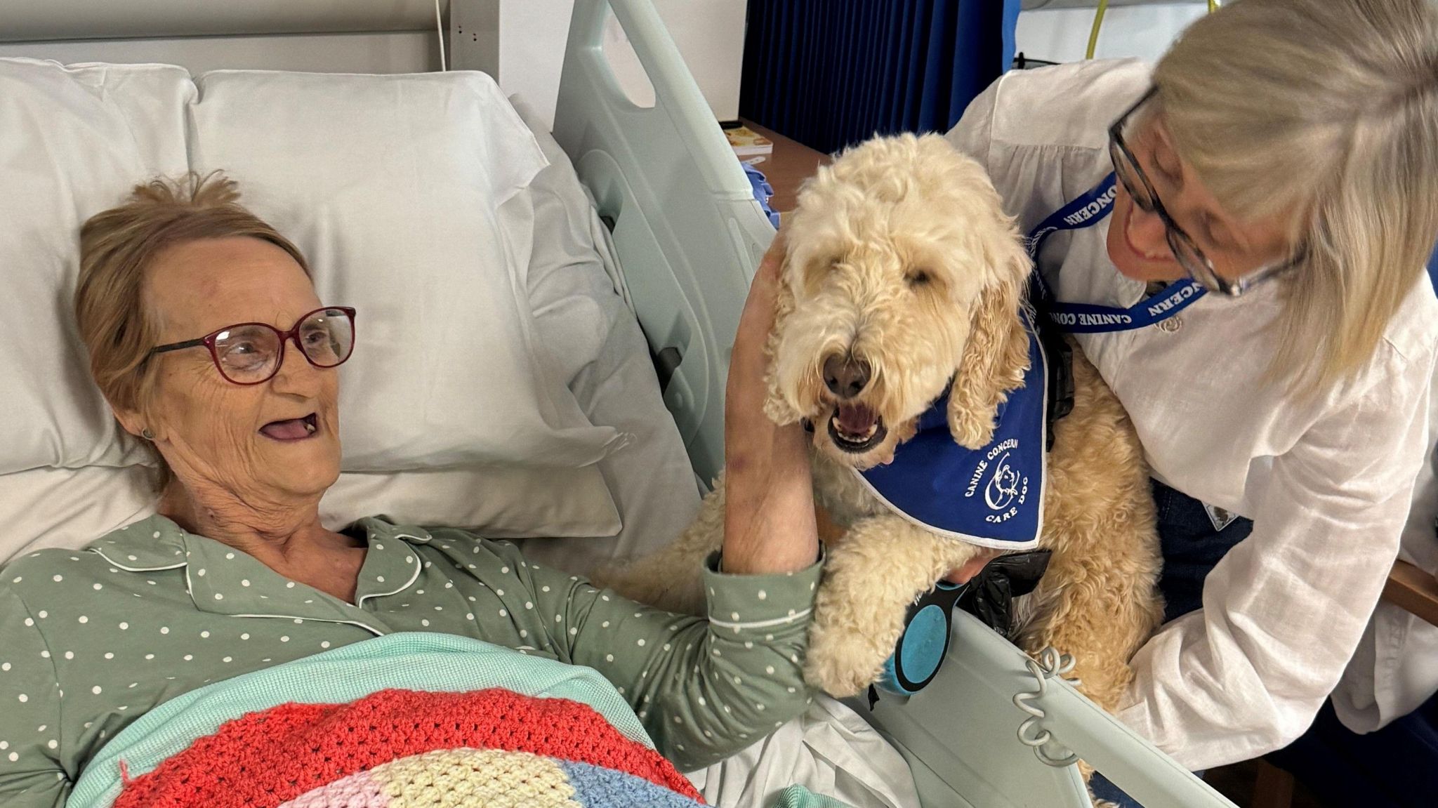 Ted the cockerpoo dog in hospital with his owner and patient