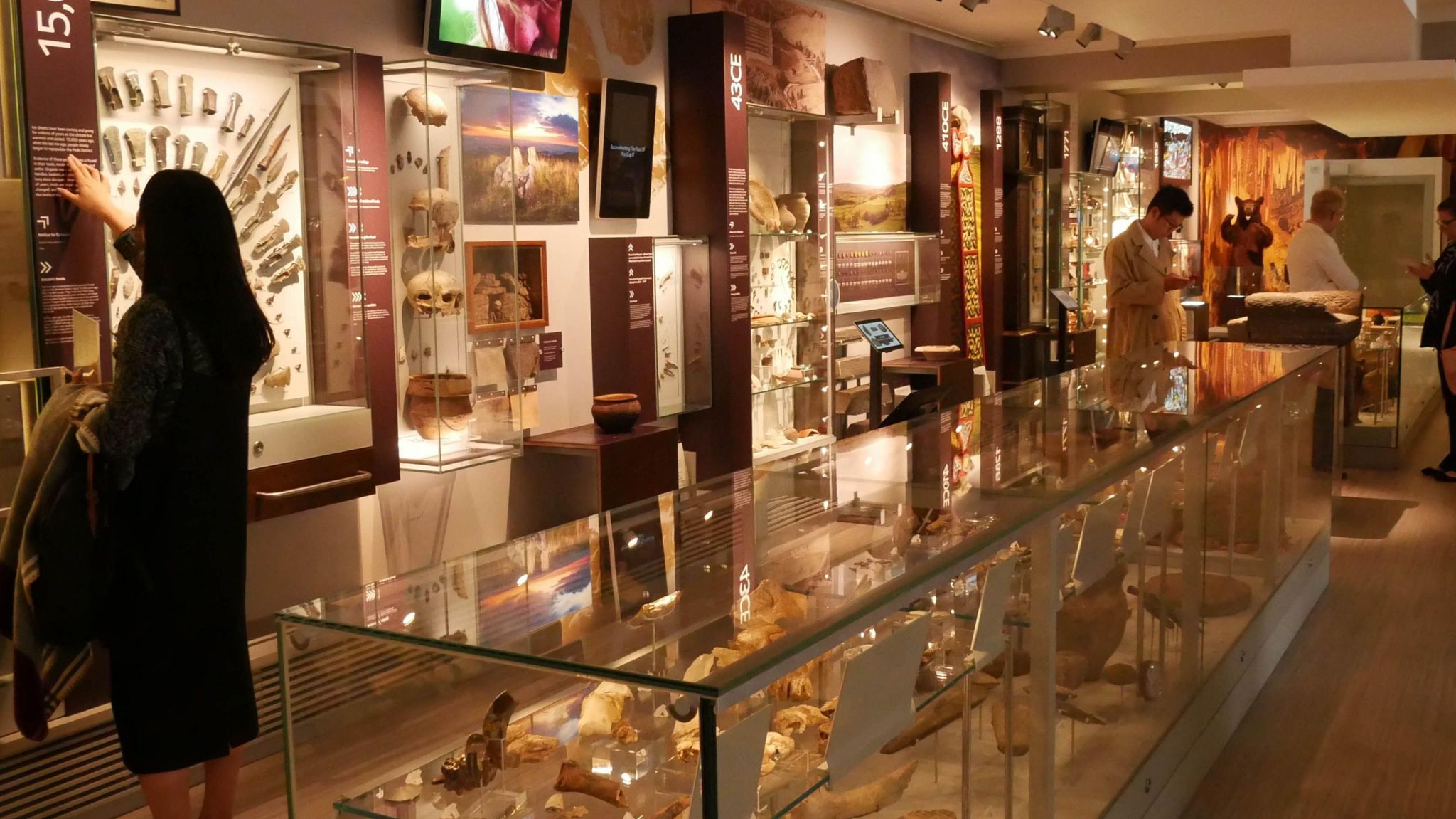 Exhibits in the Buxton Museum