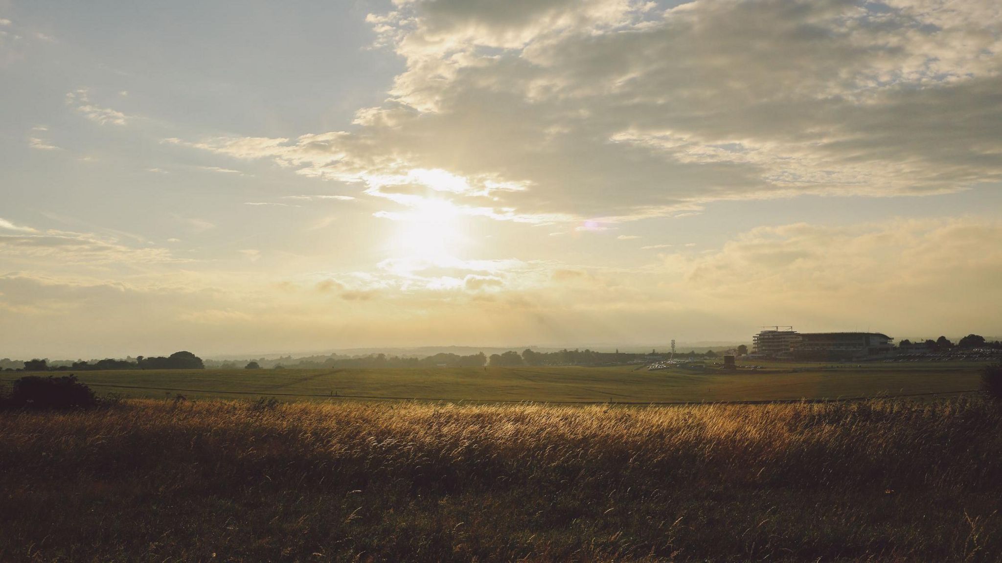 An image showing the Epsom Downs with long grasses in the foreground and a view of the racecourse in the distance with the sun shining through clouds in the sky