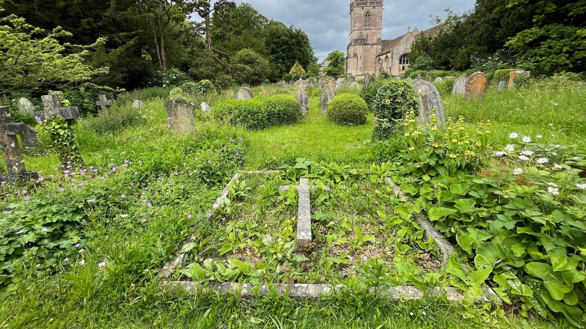 The overgrown grave of Captain Daniel Clutterbuck and his wife, Sofia