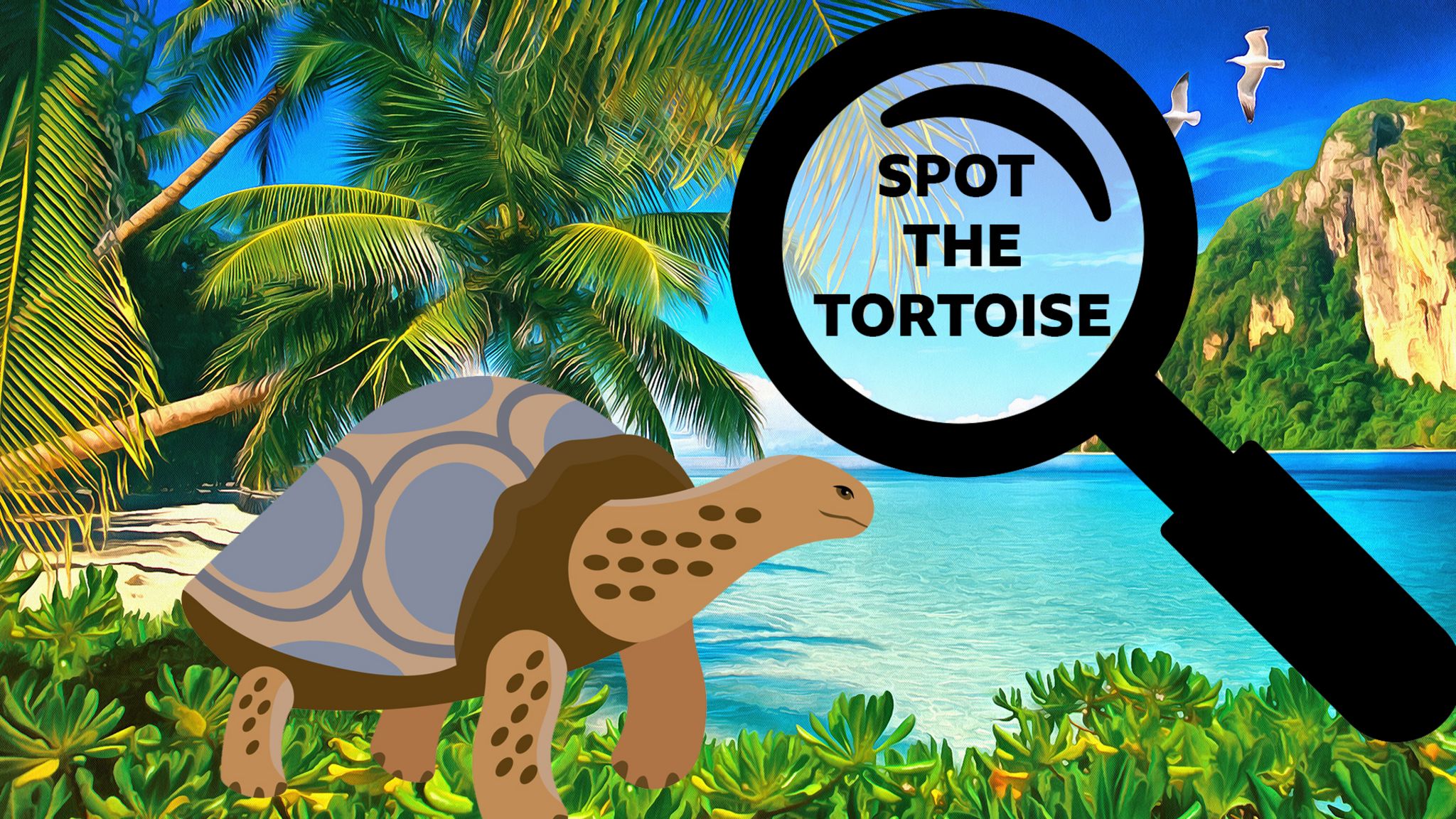 spot the tortoise animation