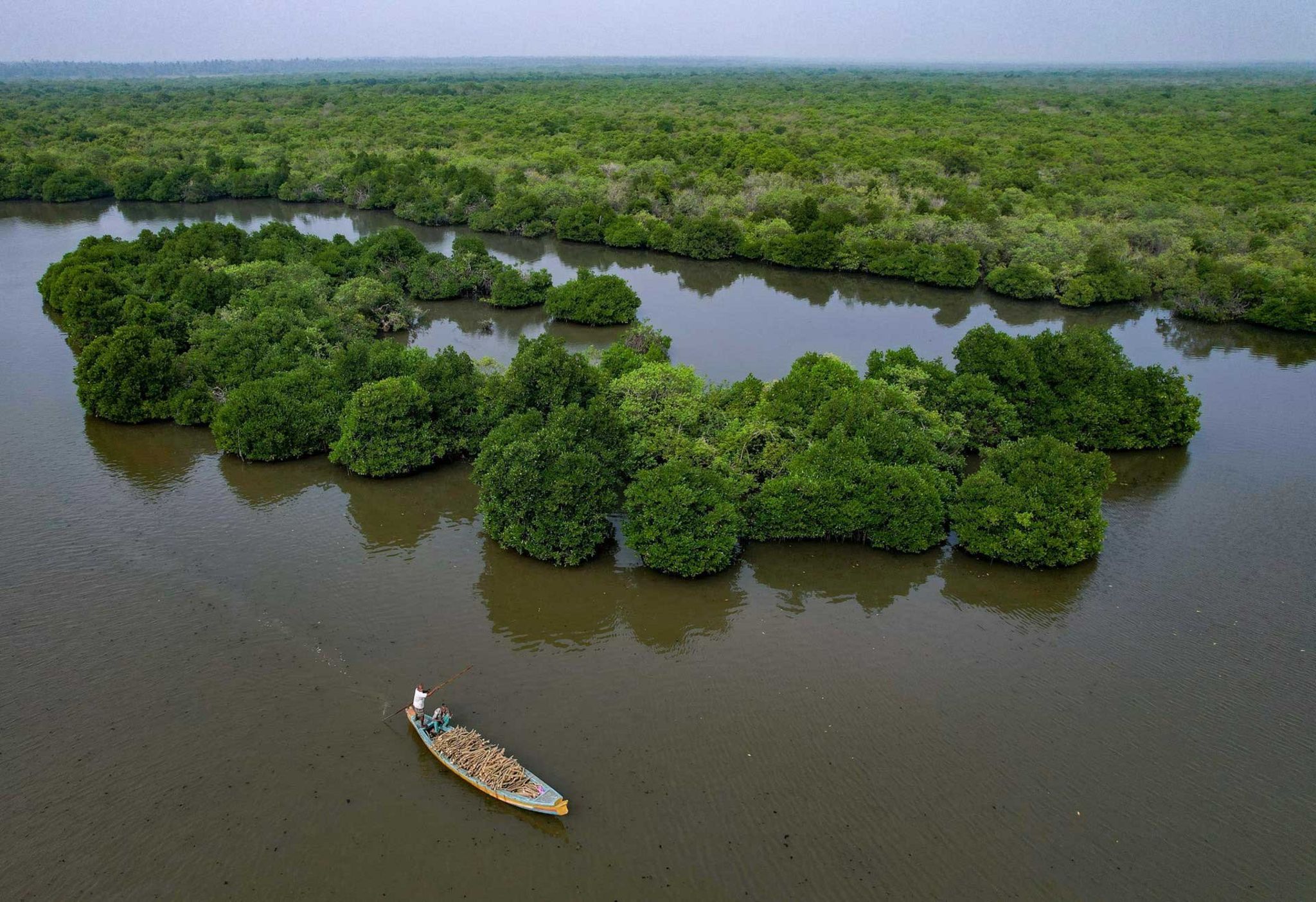 Небольшая лодка с древесиной, собранной в мангровых лесах по обеим сторонам канала, отправляется в ближайшую прибрежную деревню.