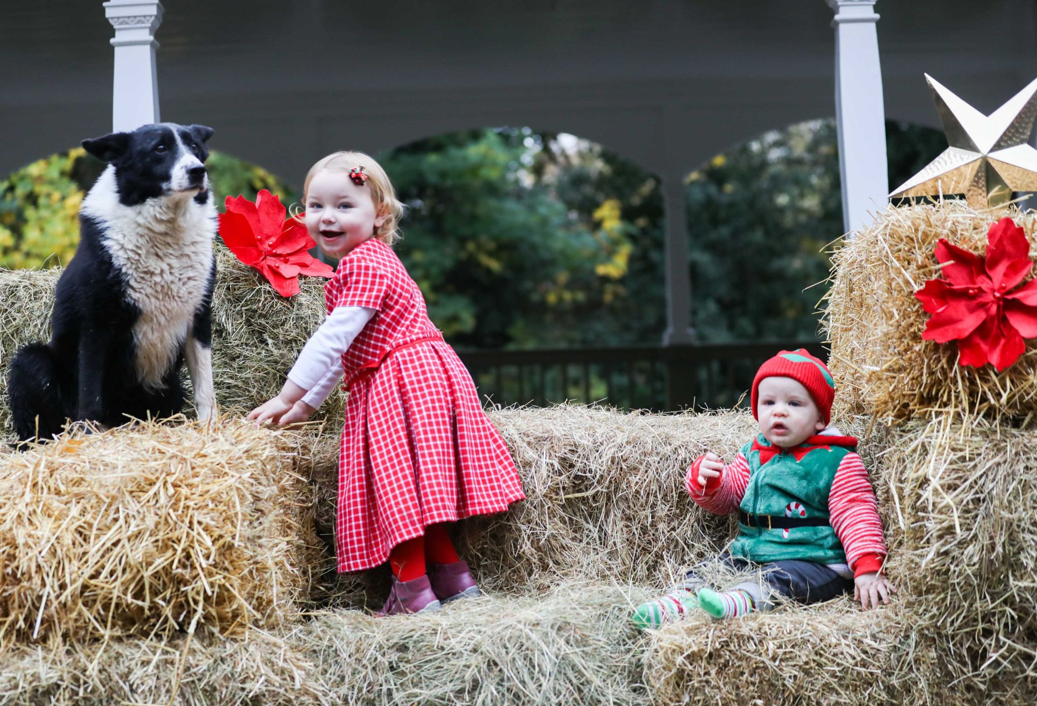 Children posing with sheepbog