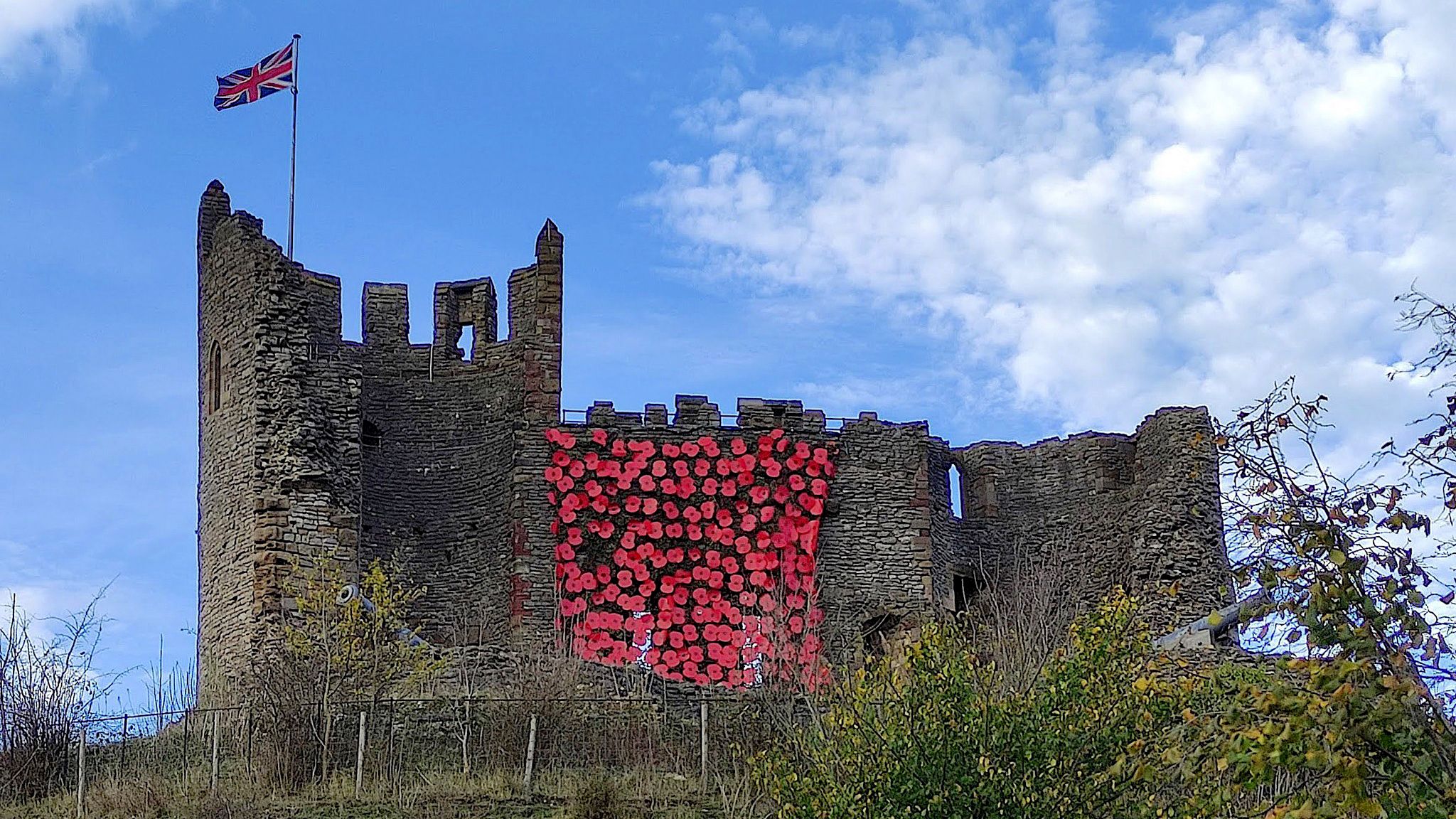 p-oppies-cascade-down-dudley-castle-bbc-news