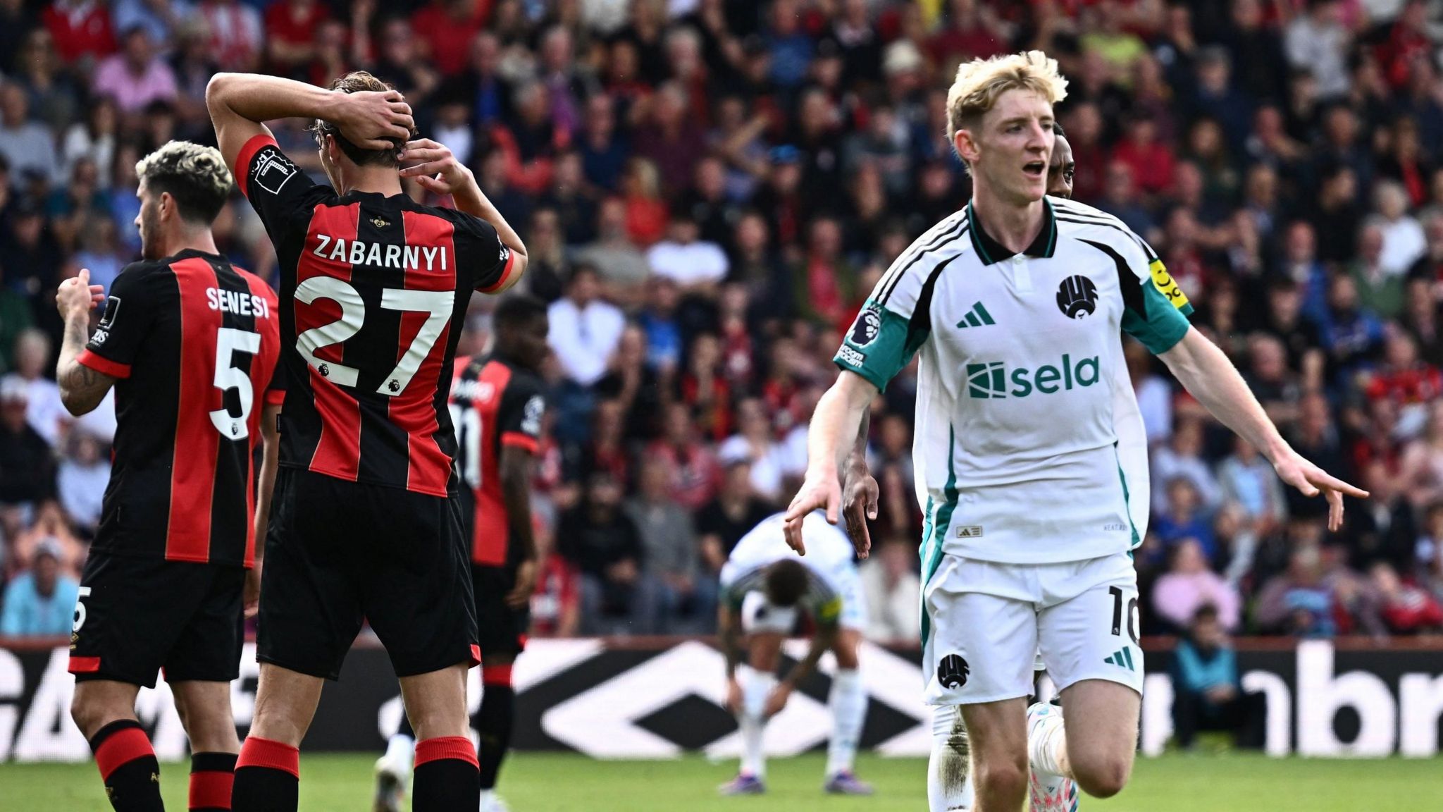 Anthony Gordon celebrates scoring for Newcastle 