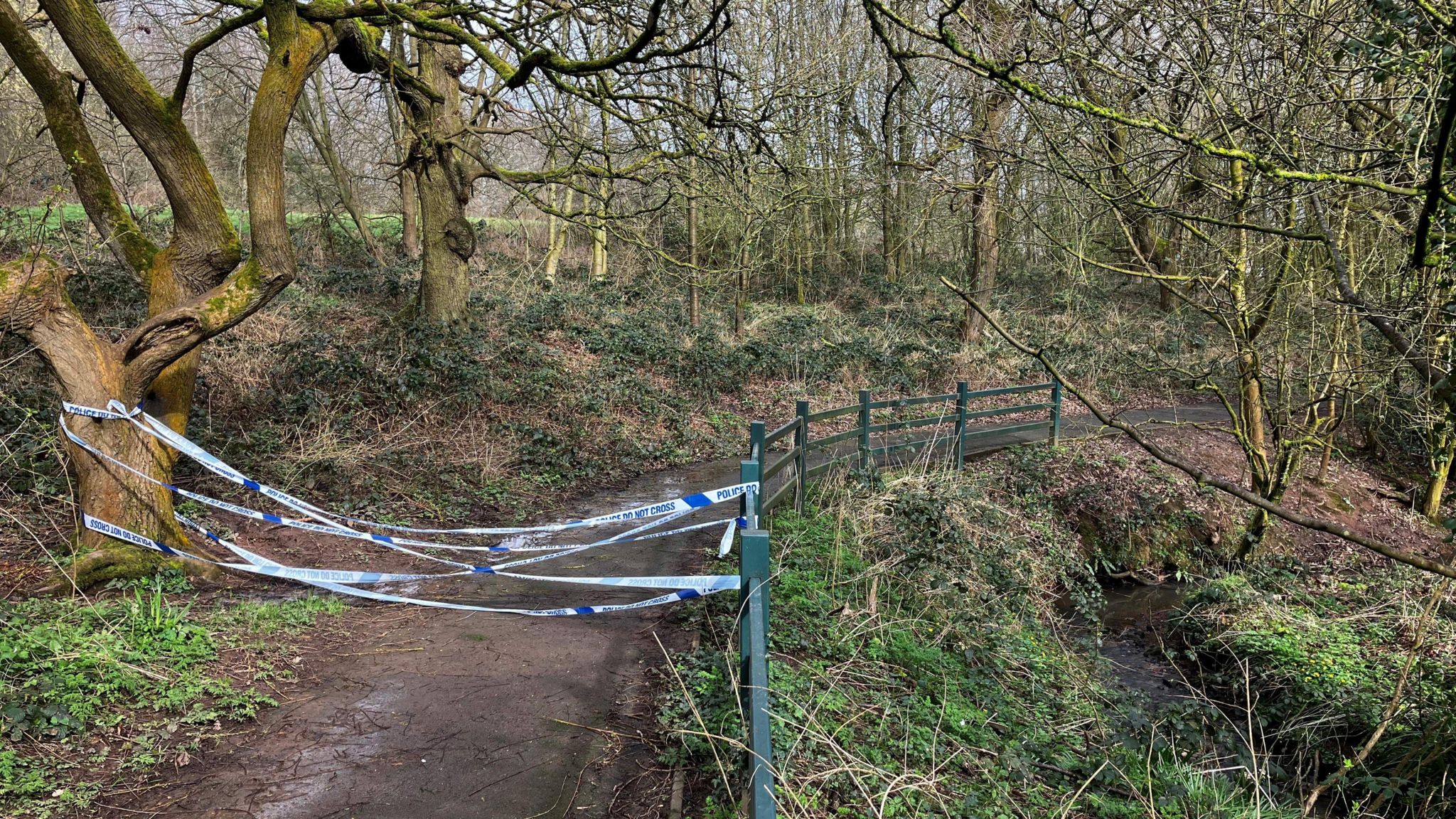 Newcastle-under-Lyme: Park sex attackers hunted by police - BBC News