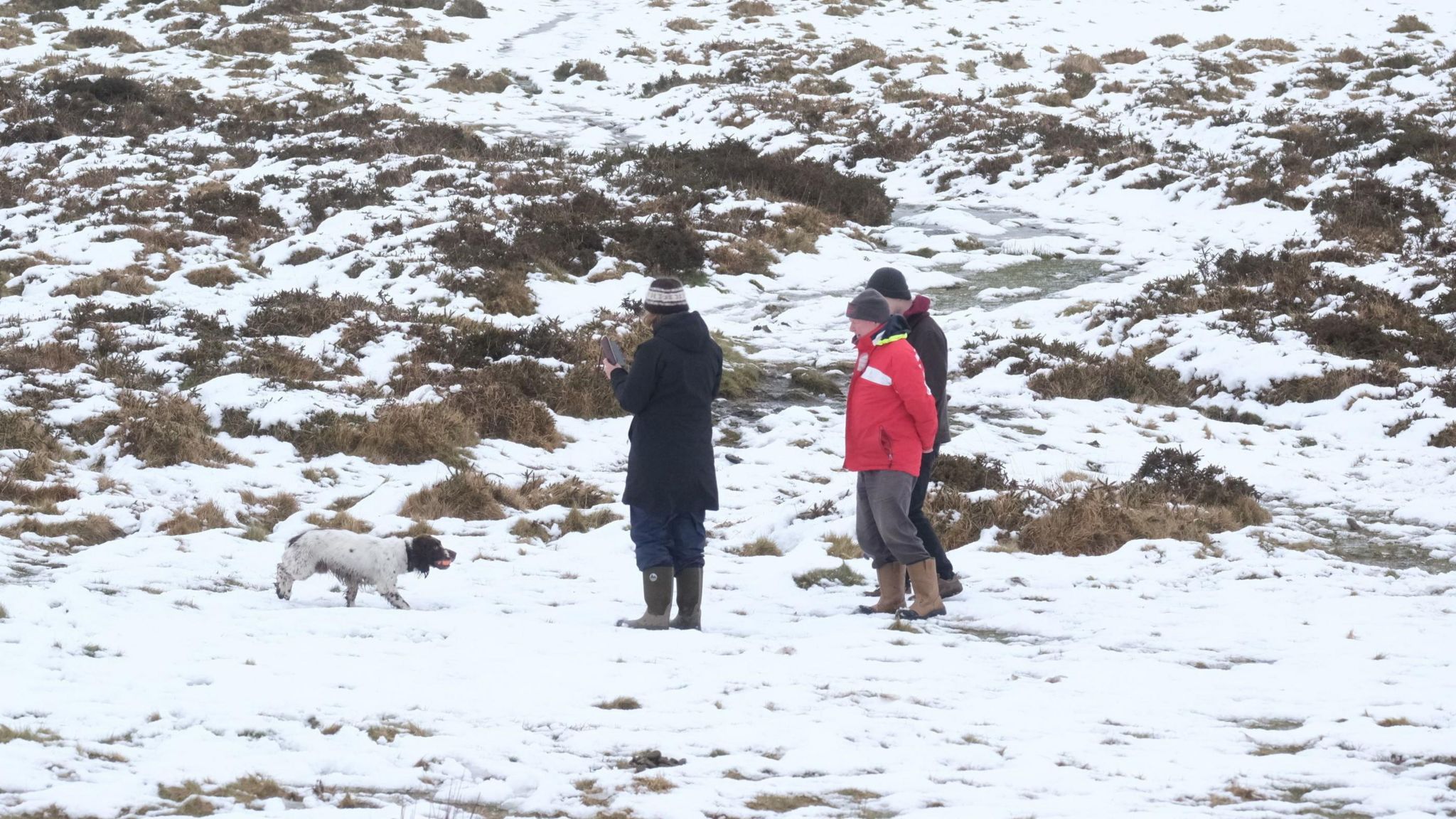 People walking a dog on a snowy Dartmoor