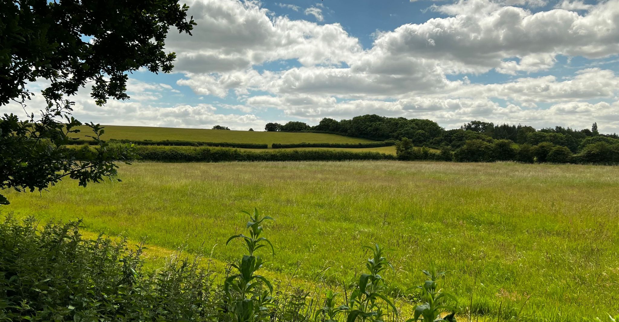 Green belt land near Bristol