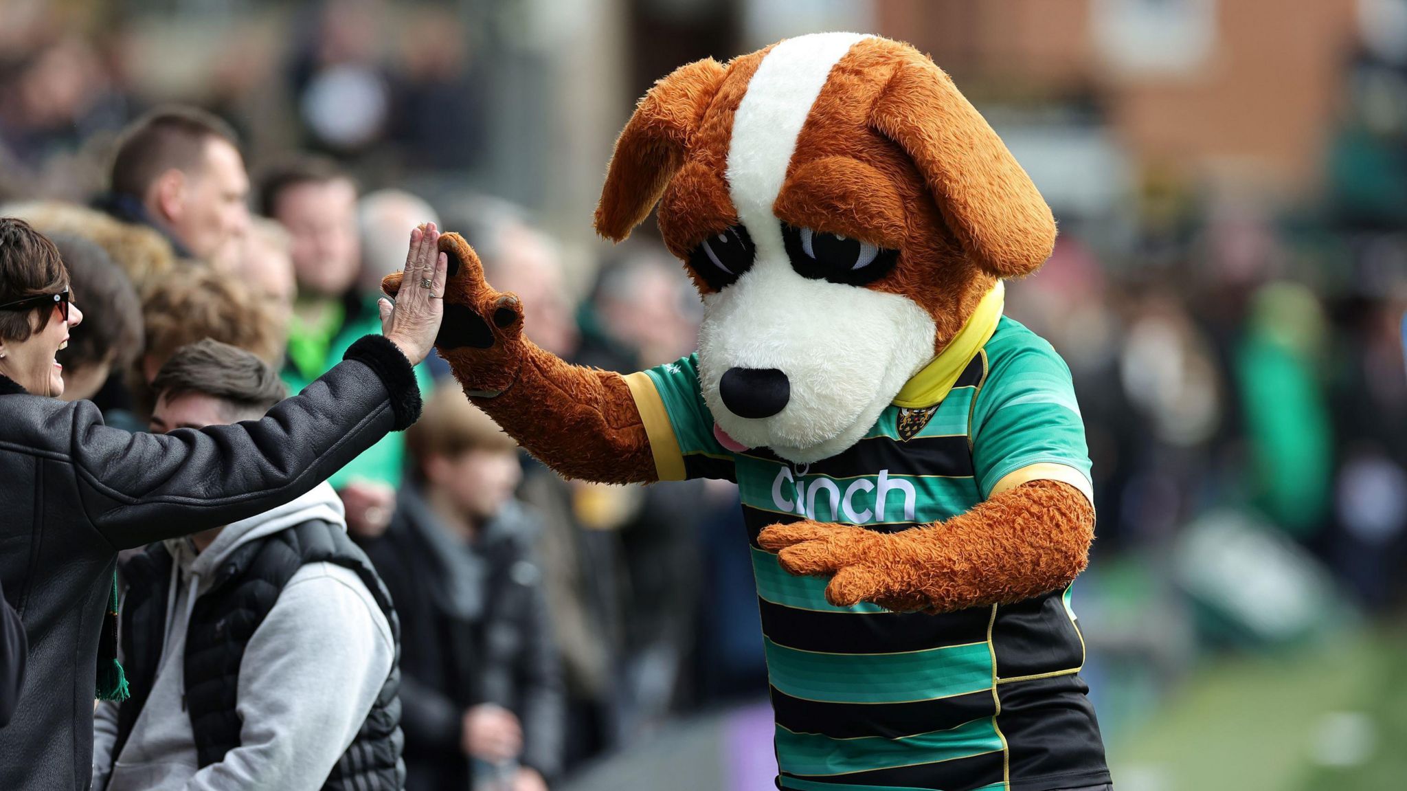 Bernie the Dog high-fiving rugby fans