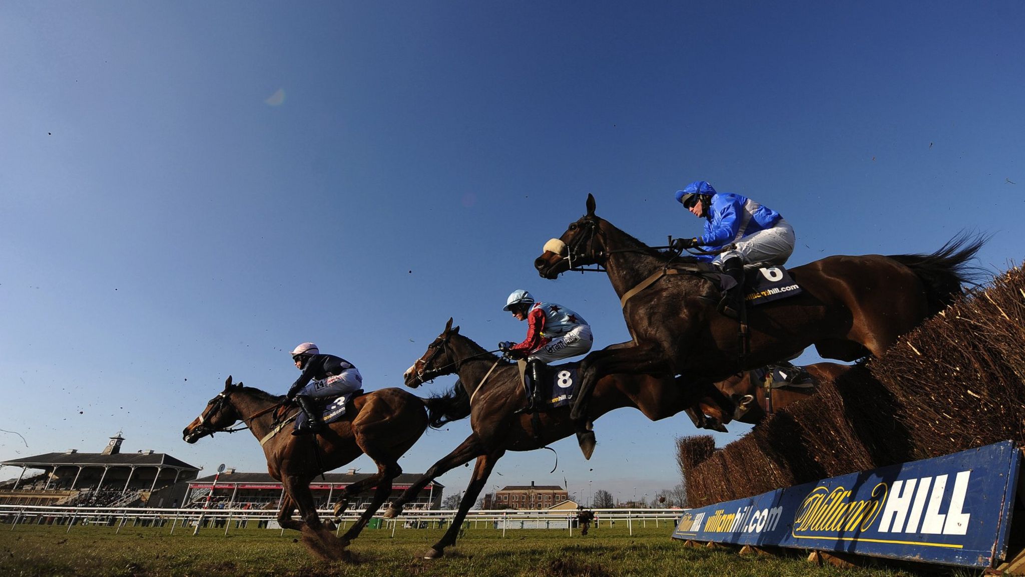 Horses clearing jump with William Hill logo beneath