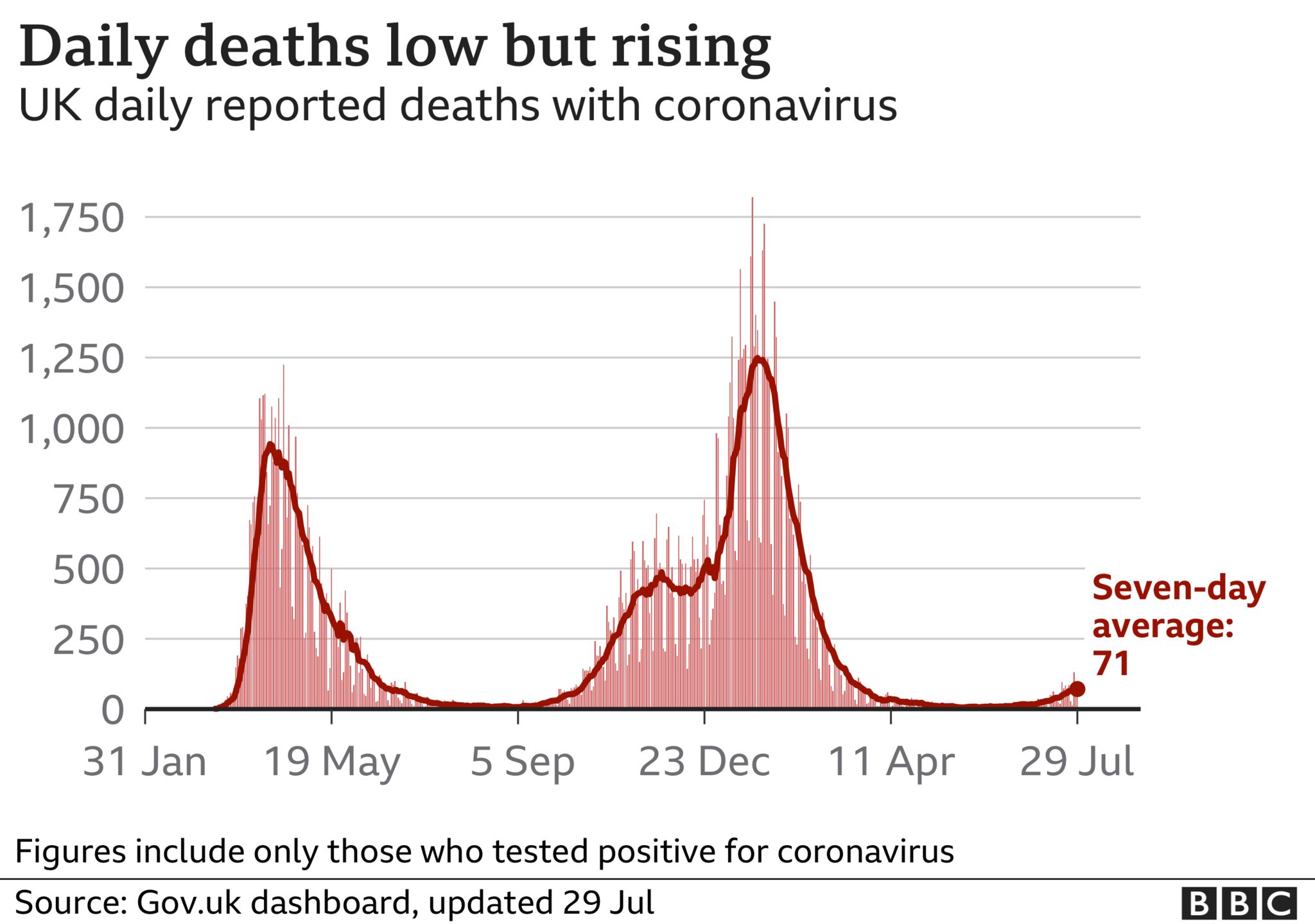 Daily deaths graphics